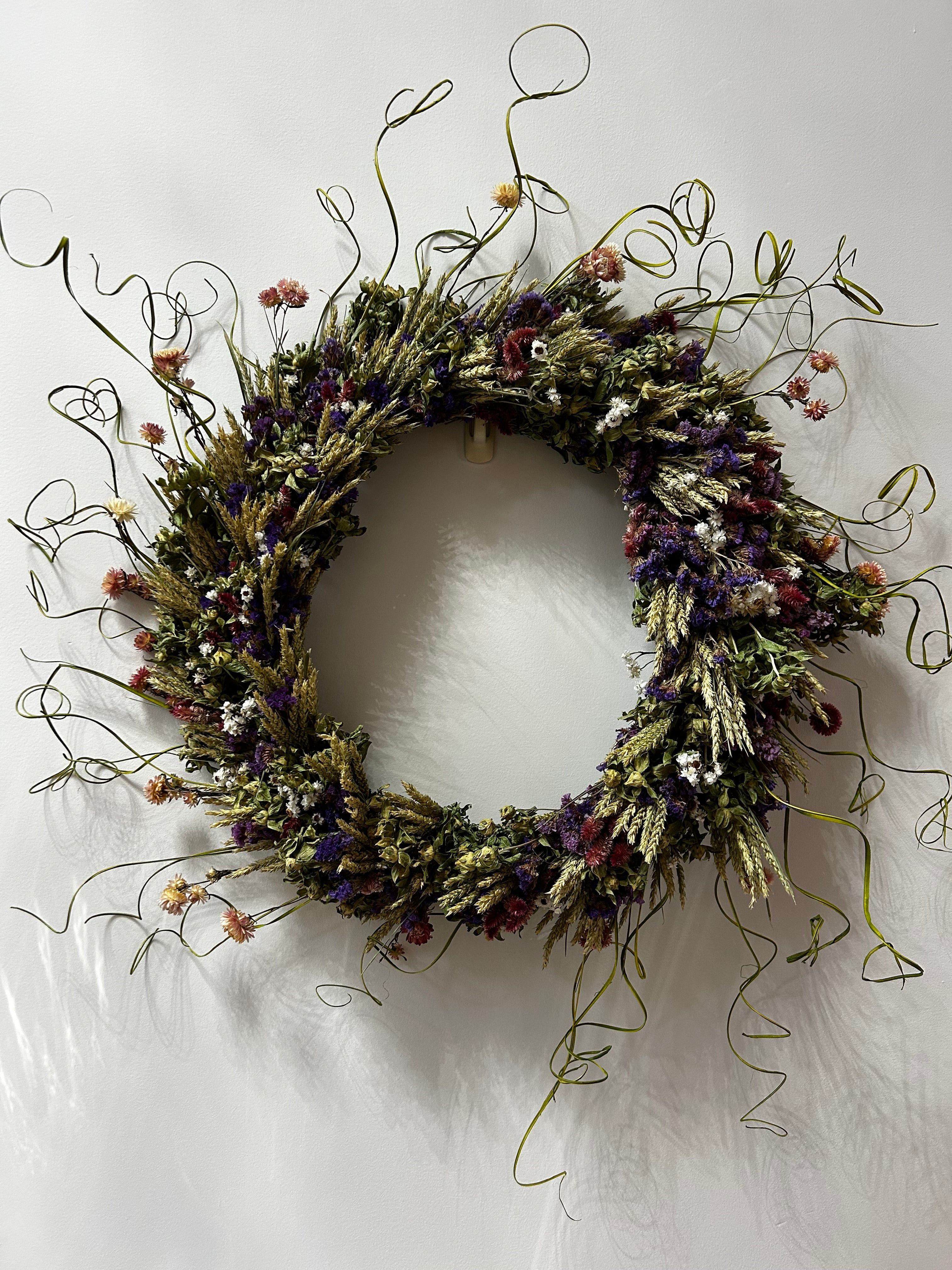 Decorative 30 inch dried floral wreath with vibrant statice and helichrysum and the whimsical texture of various grains, and curly ting ting on a white background