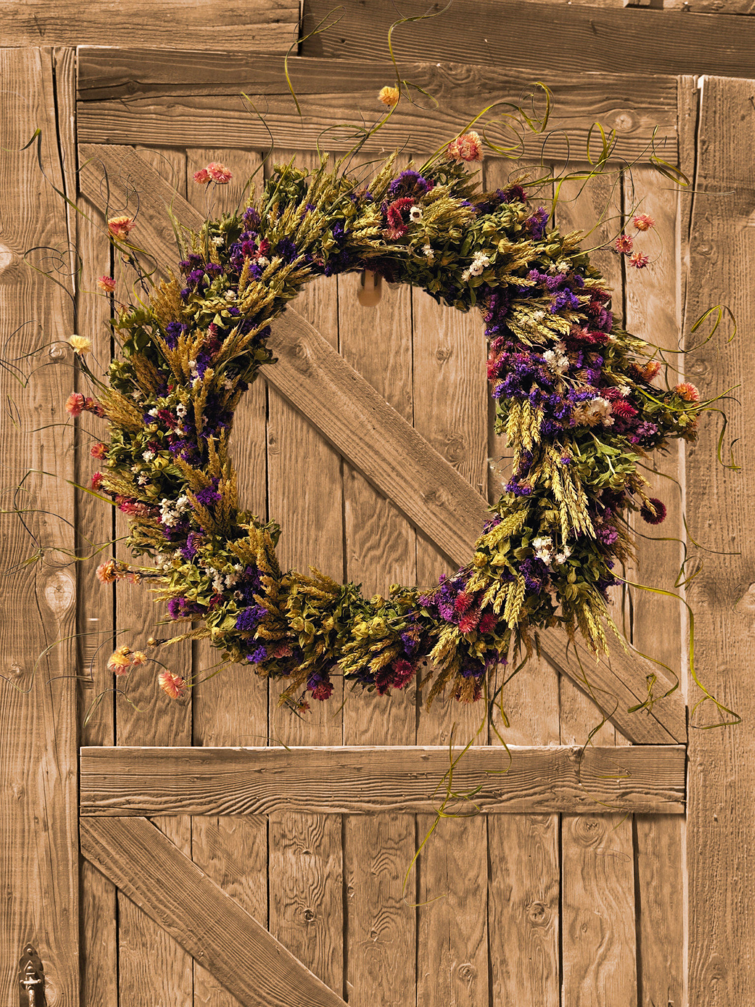 Decorative 30 inch dried floral wreath with vibrant statice and helichrysum and the whimsical texture of various grains, and curly ting ting on a wooden door.