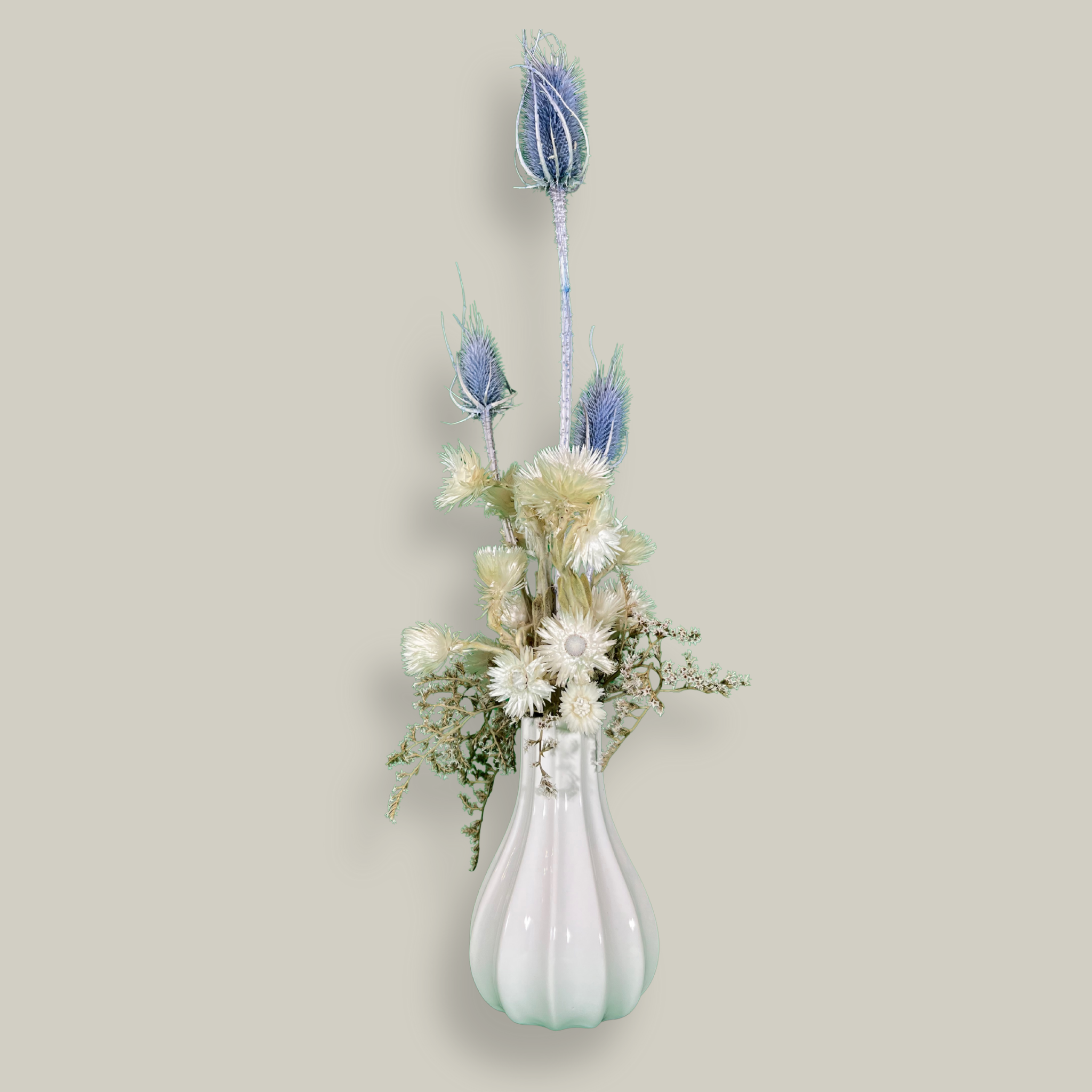 Vase of dried floral arrangement made with delicate, lace-like petals of white Cape Flowers against the intriguing, sculpted heads of blue Teasels. Adding airy lightness and enduring colour is German Statice. 