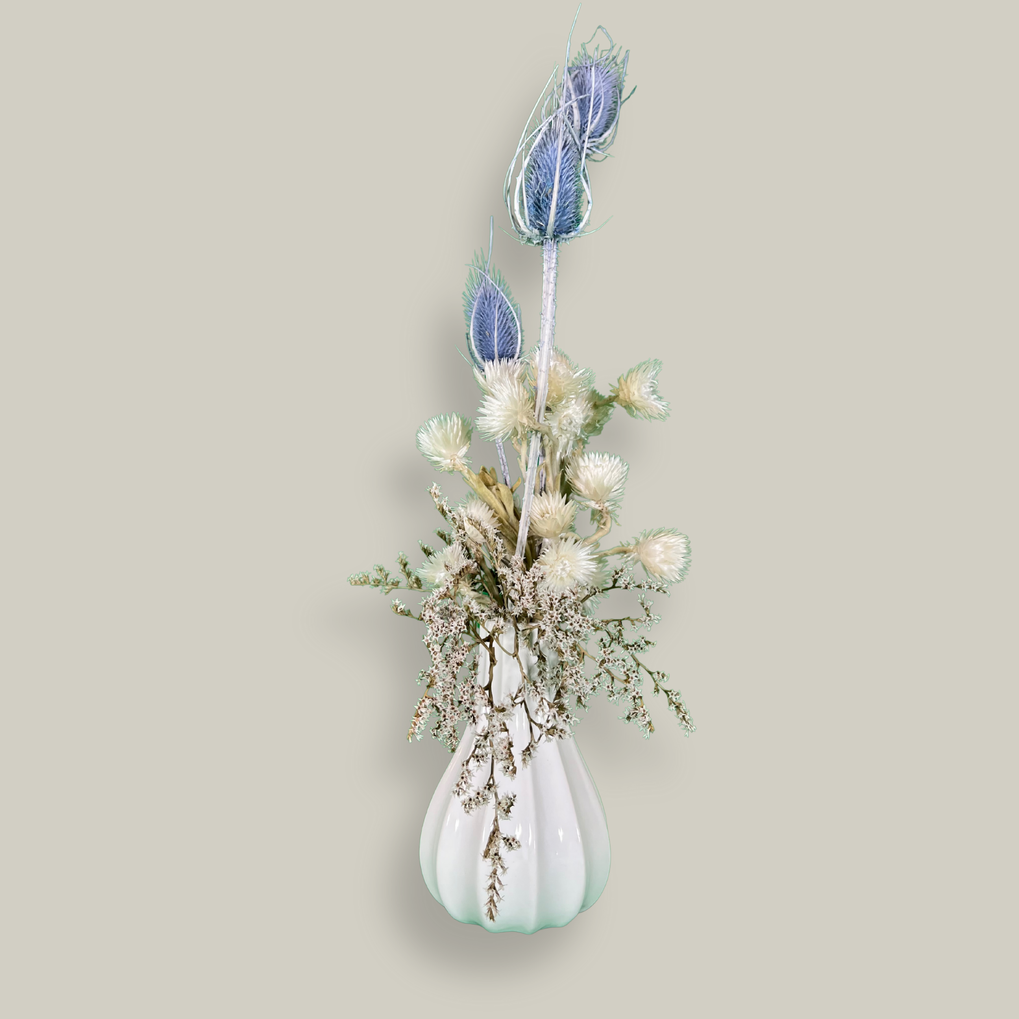 Vase of dried floral arrangement made with delicate, lace-like petals of white Cape Flowers against the intriguing, sculpted heads of blue Teasels. Adding airy lightness and enduring colour is German Statice. 