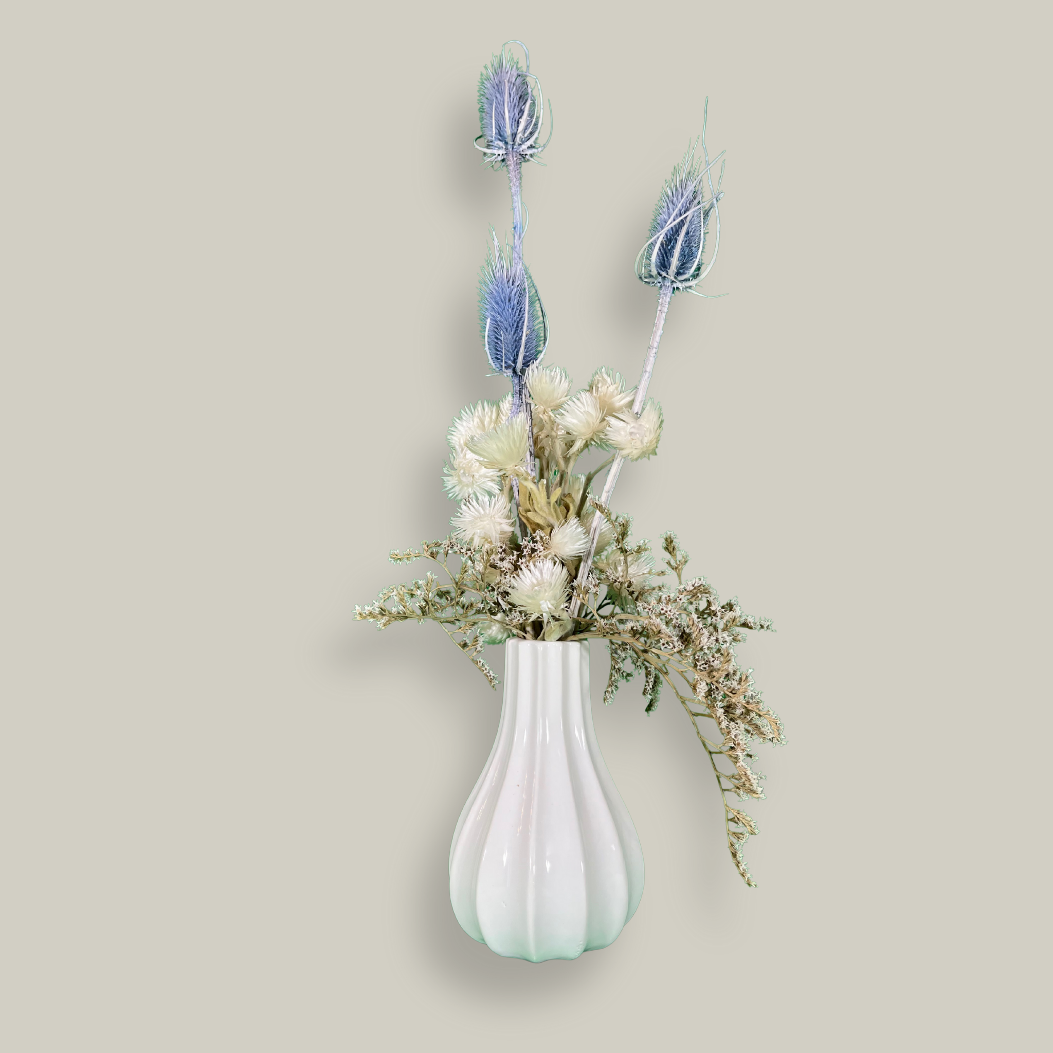 Vase of dried floral arrangement made with delicate, lace-like petals of white Cape Flowers against the intriguing, sculpted heads of blue Teasels. Adding airy lightness and enduring colour is German Statice. 