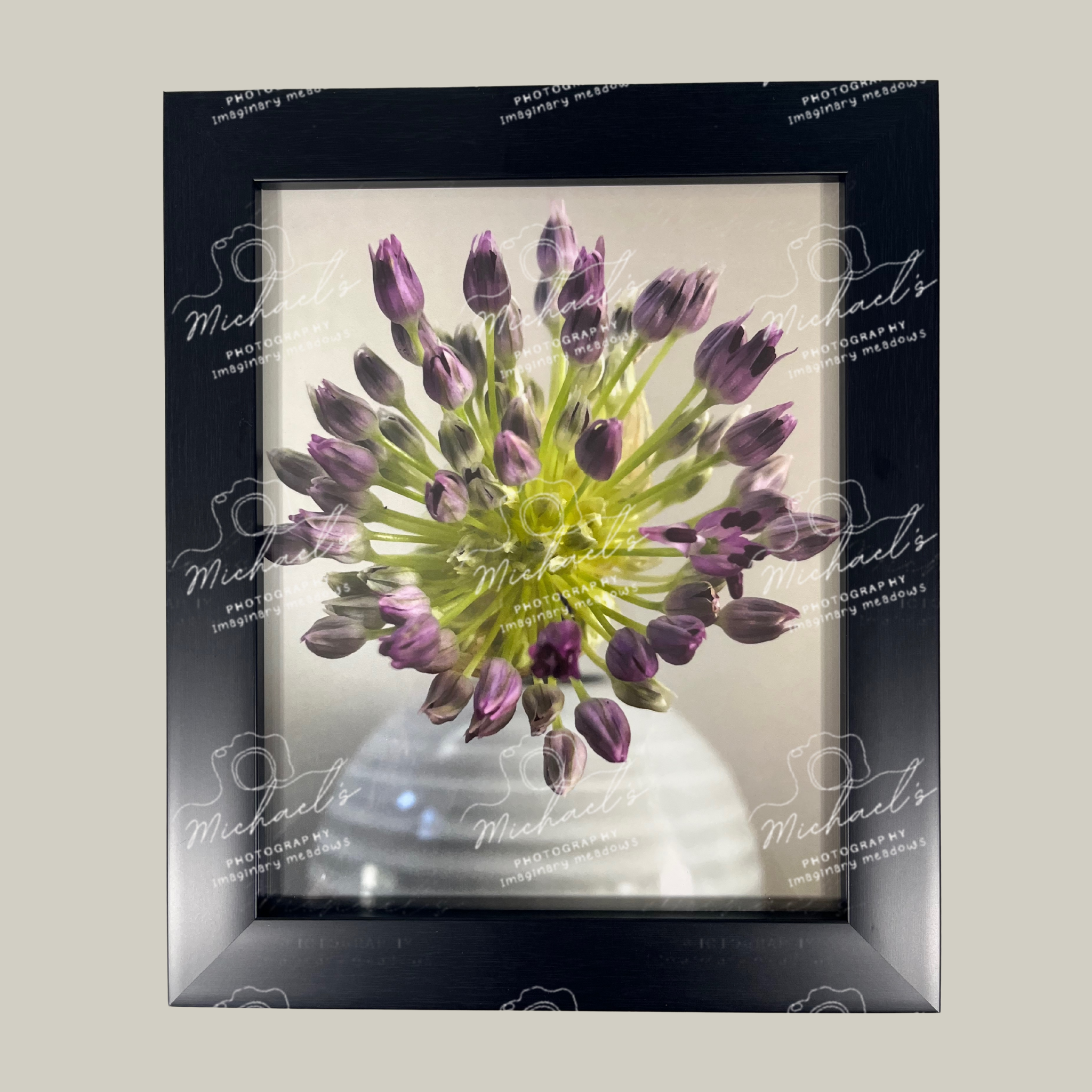 Matte black framed photograph of a purple allium flower on the verge of blooming.