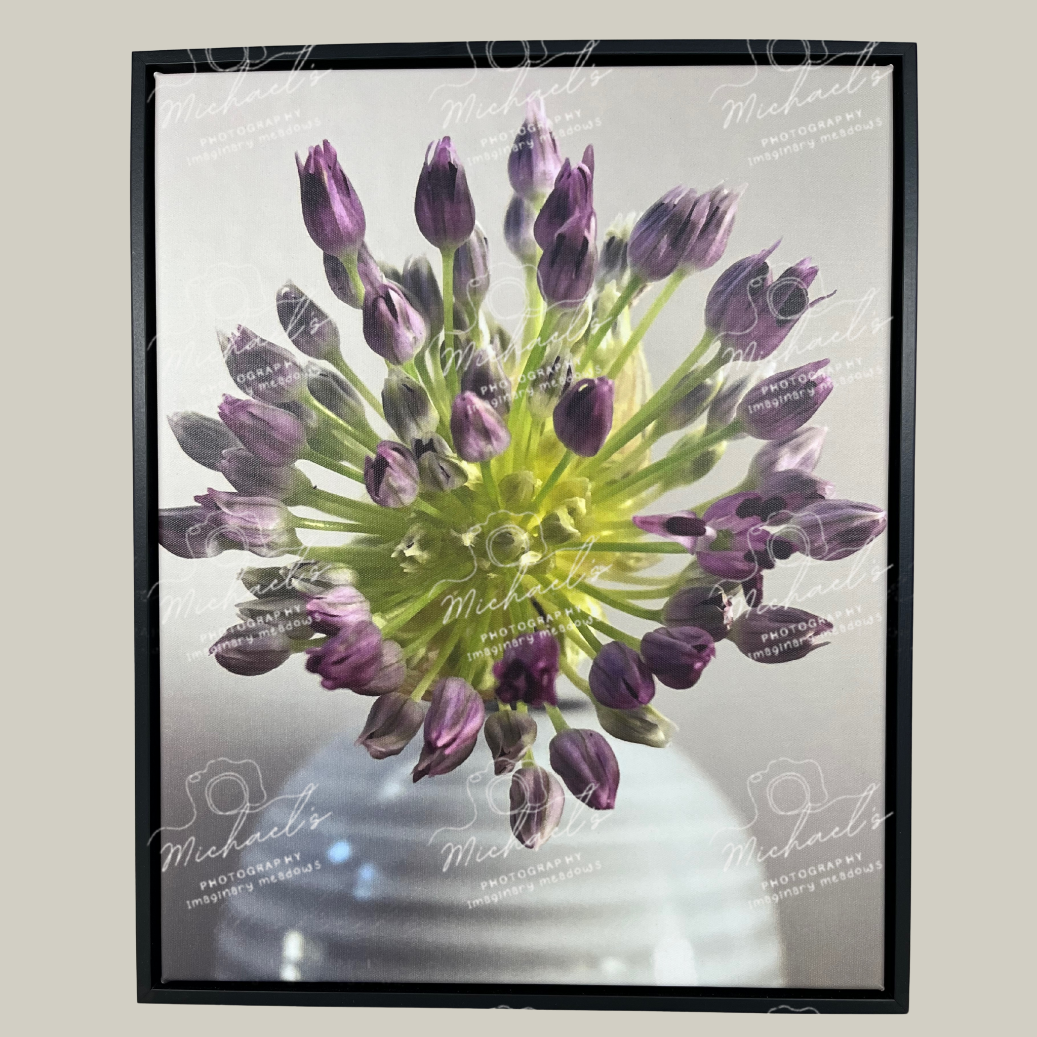 Large scale framed photograph of a purple allium flower on the verge of blooming.