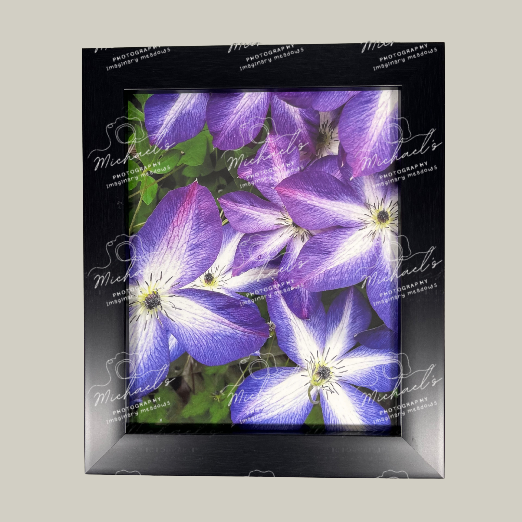 Matt black framed photograph of purple clematis flowers