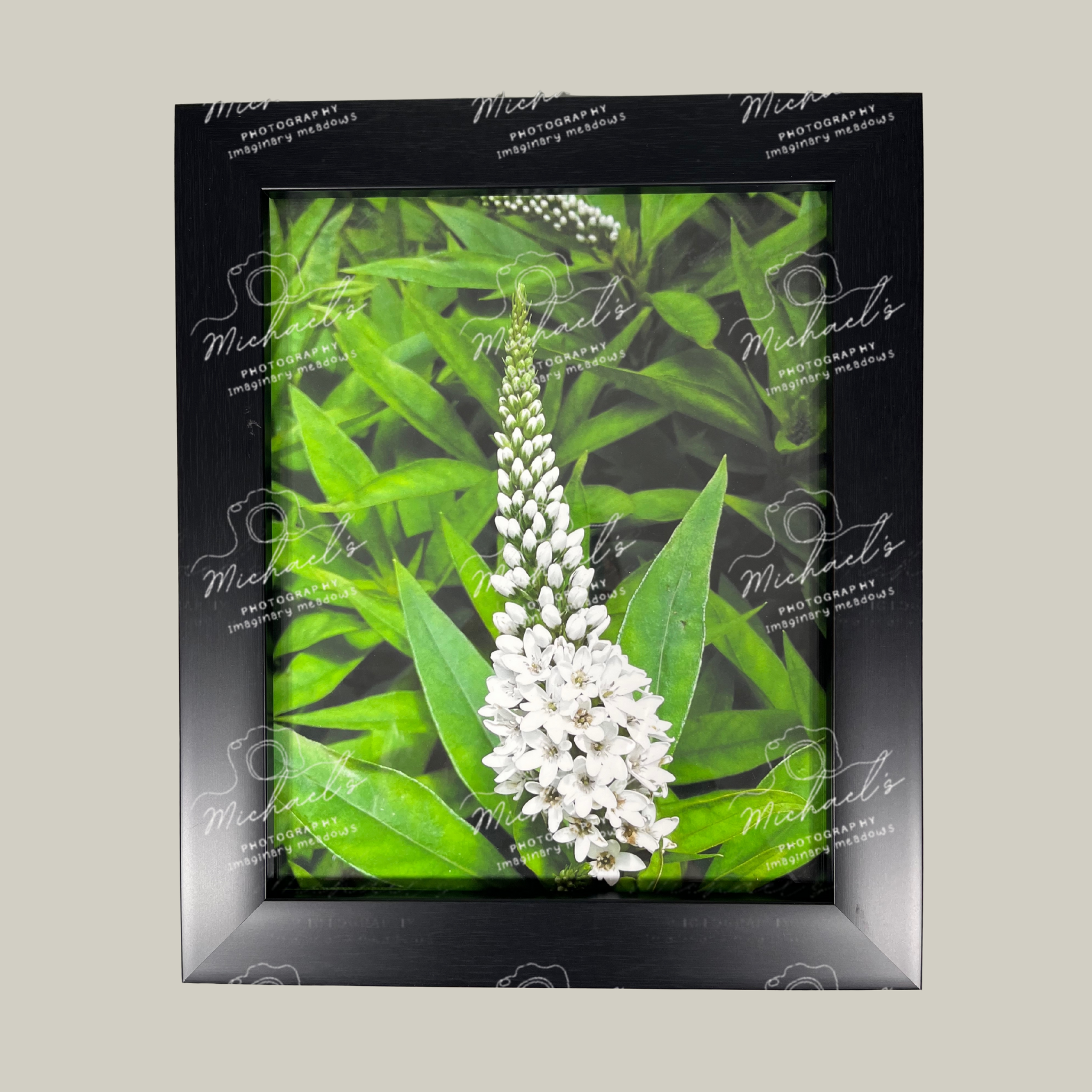 Matte black framed photograph of a white pineapple lily flower and green leaves.