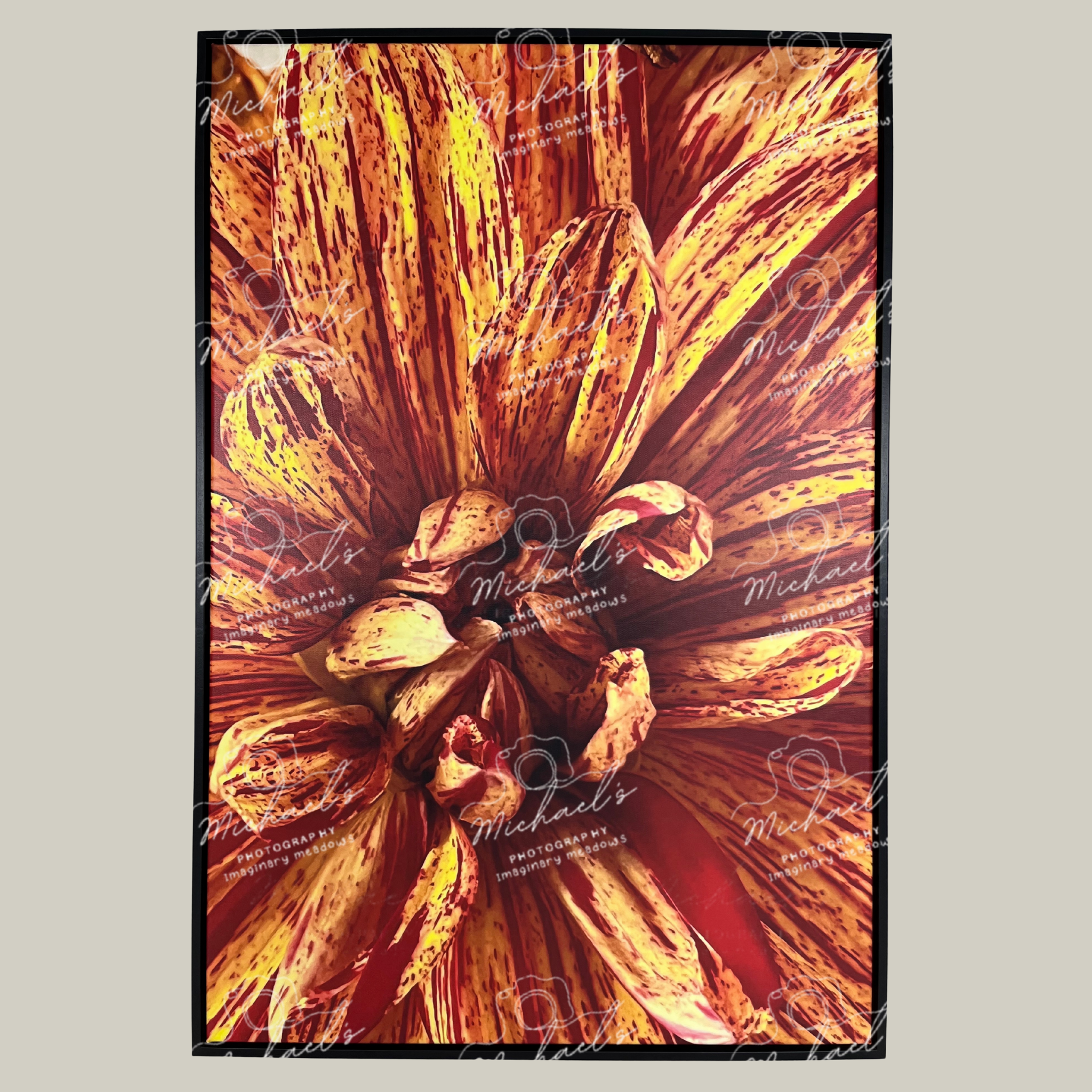 Large scale framed artwork with a close-up of a Dahlia in vibrant orange and red colours on a grey background.