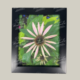 Black matt framed photography of a pink flower with petals just emerging surrounded by green leaves 