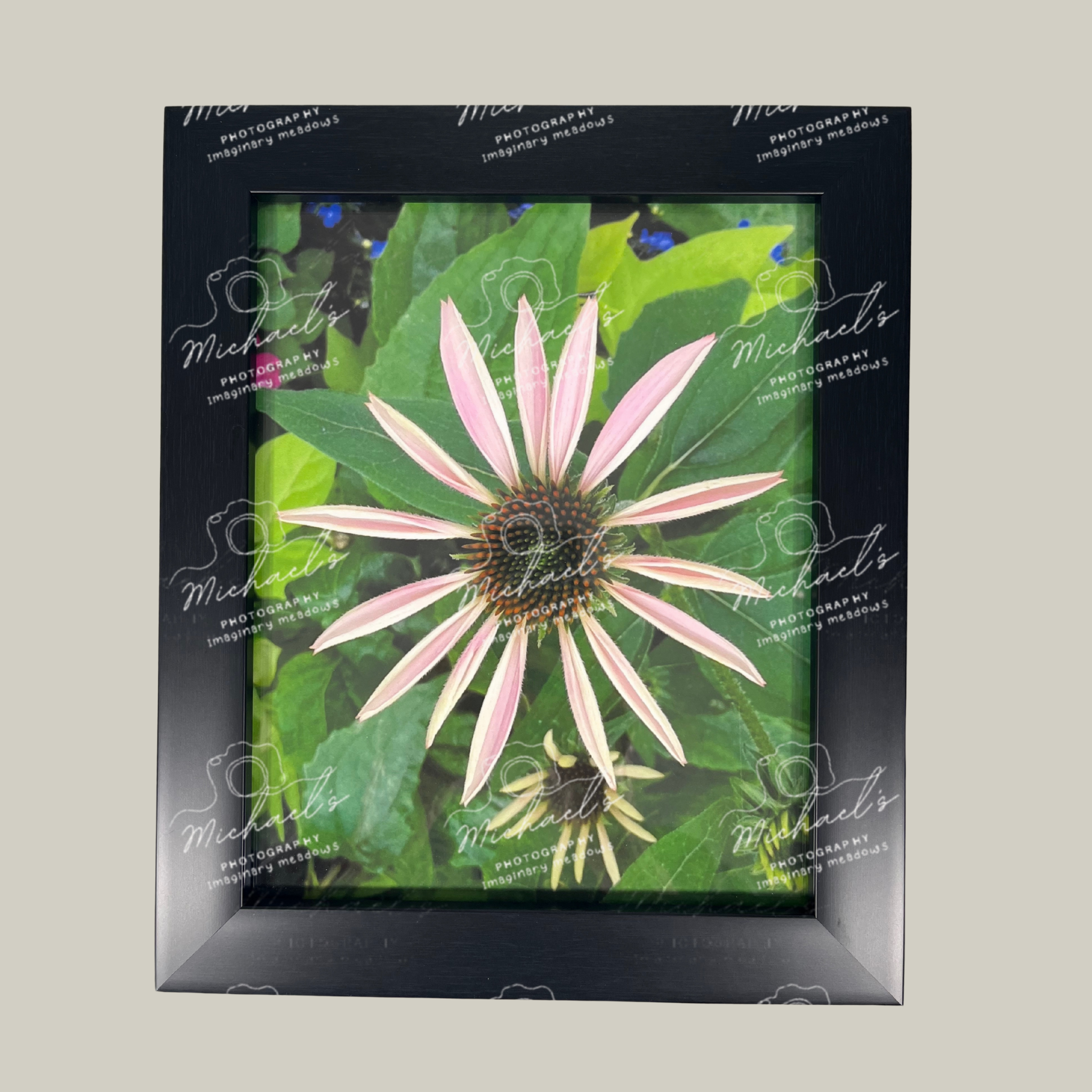 Black matt framed photography of a pink flower with petals just emerging surrounded by green leaves 