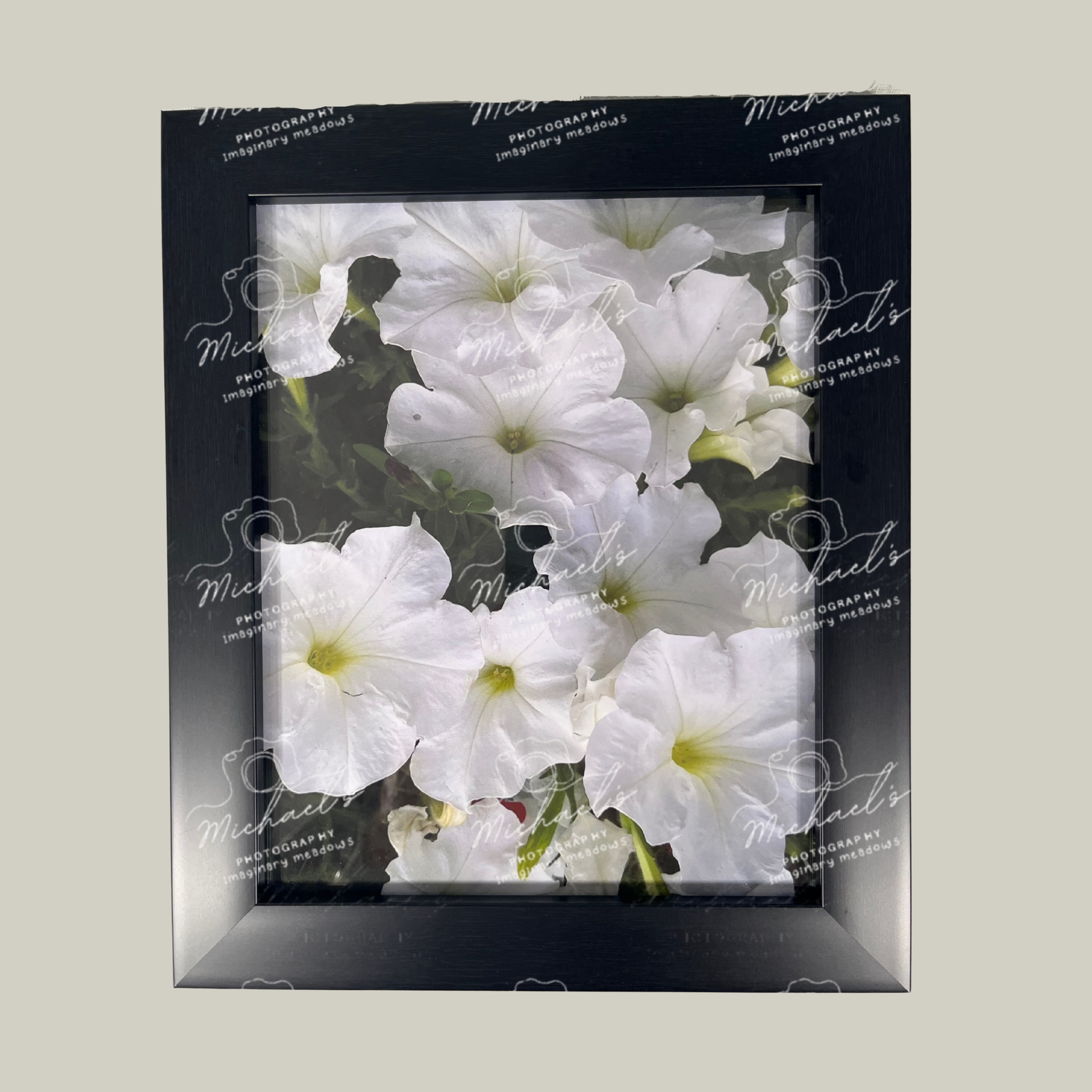 Framed photograph of white petunia flowers with a matt black frame