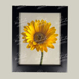 Matte black framed yellow sunflower with 'Michaels' branding on a white background