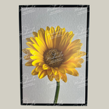 Matte black framed yellow sunflower with 'Michaels' branding on a white background