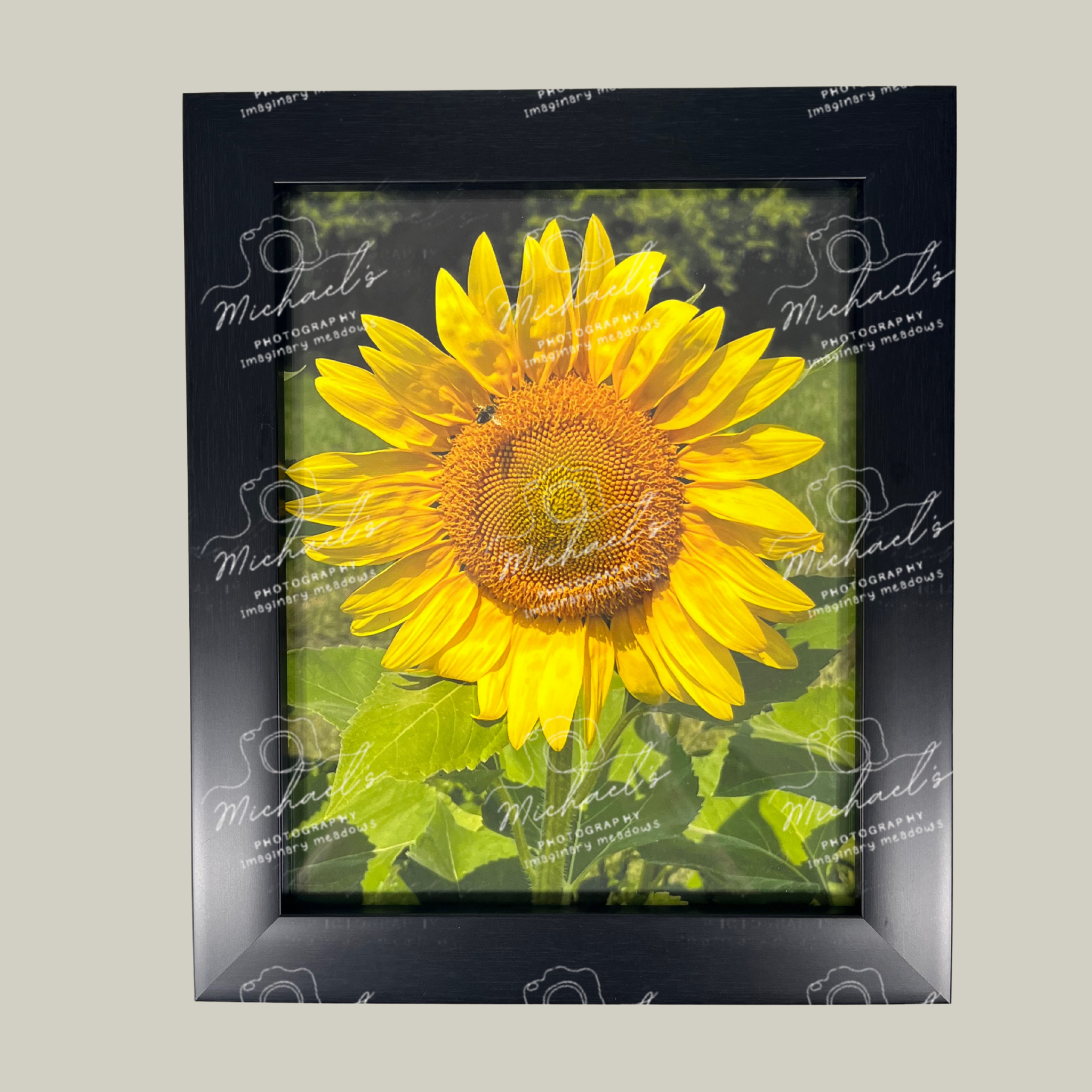 Matte black framed picture of a sunflower with a bee