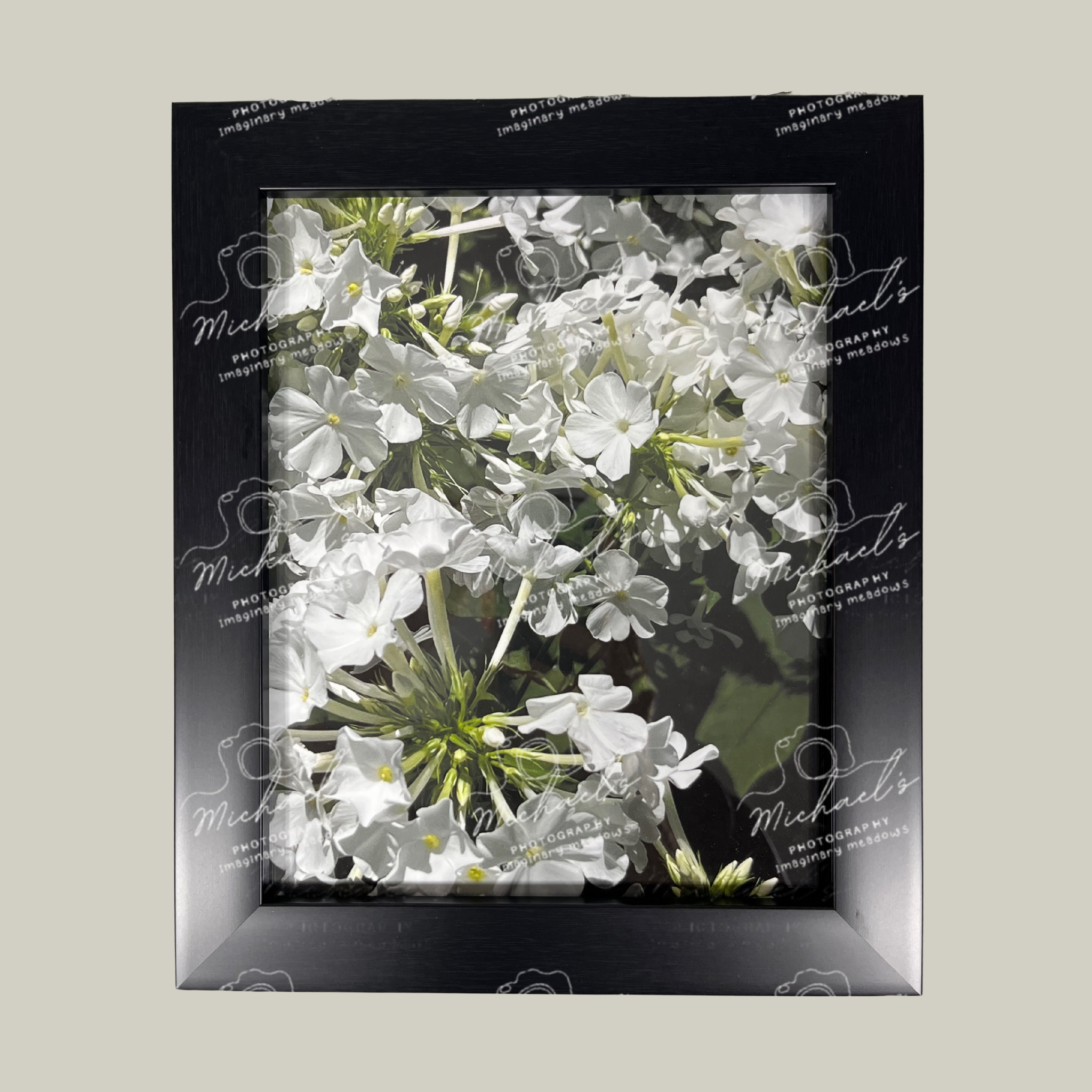 Framed photograph of white phlox flowers with a matte black frame.