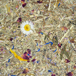 A close-up of dried grasses and small scattered flower petals, with a single white daisy-like flower with a yellow center near the middle and a bright yellow strip on the left. 1
