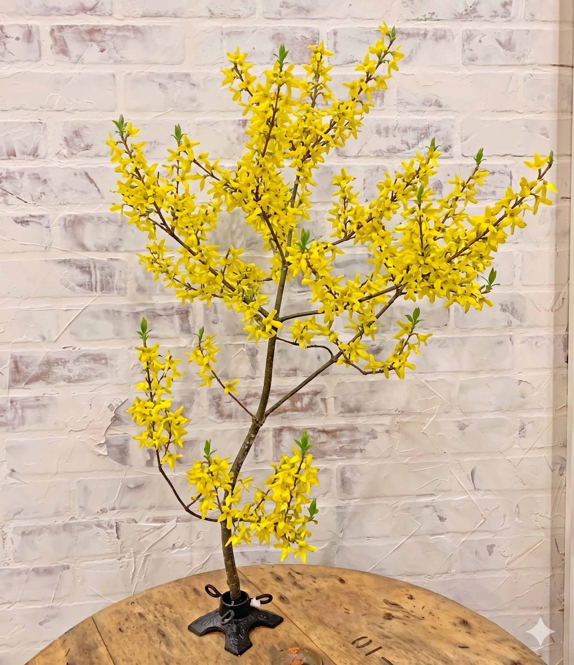 Arbour Accent Stand