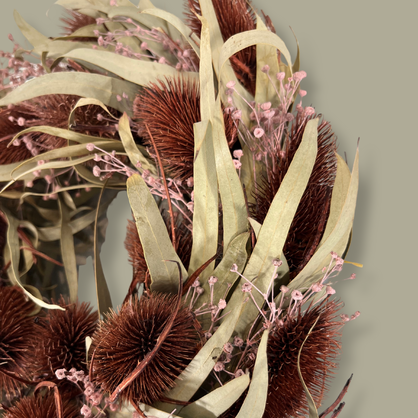 Close-up of the left side of a meticulously crafted 10-inch accent wreath with it's lush burgundy red teasels providing a striking focal point against the delicate, ethereal sprays of Bupleurum in a soft pink and natural willow eucalyptus adds a graceful touch of olive green.