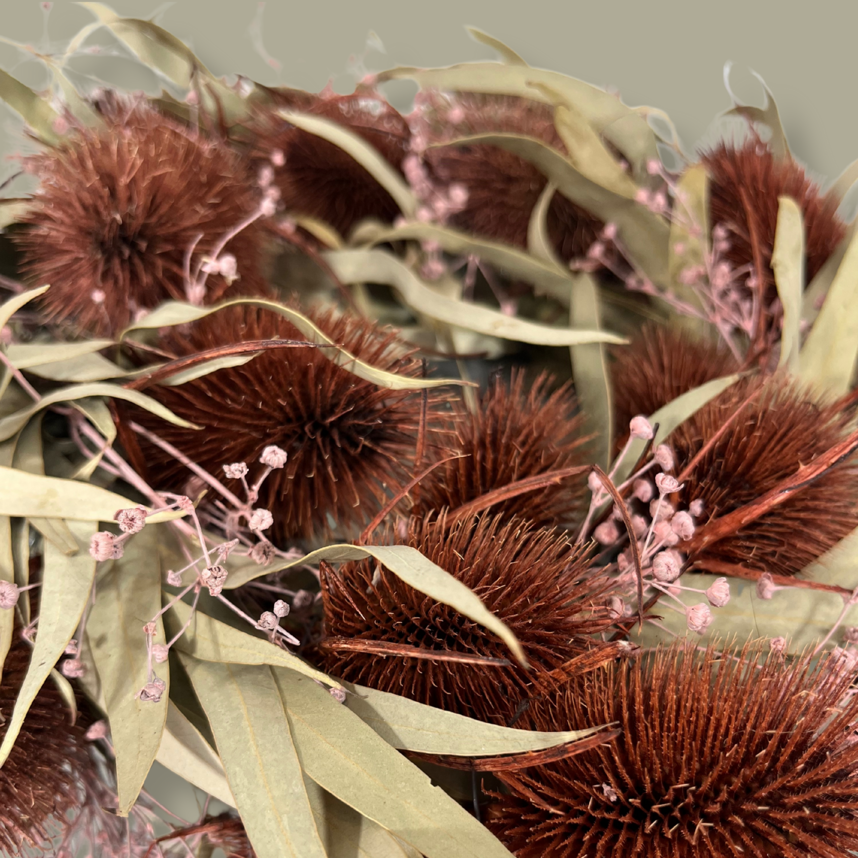 Close-up of a meticulously crafted 10-inch accent wreath with it's lush burgundy red teasels providing a striking focal point against the delicate, ethereal sprays of Bupleurum in a soft pink and natural willow eucalyptus adds a graceful touch of olive green.