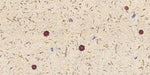 A larger image of the Carpe Diem wall covering featuring the botanicals as they would appear on a wall. 4
