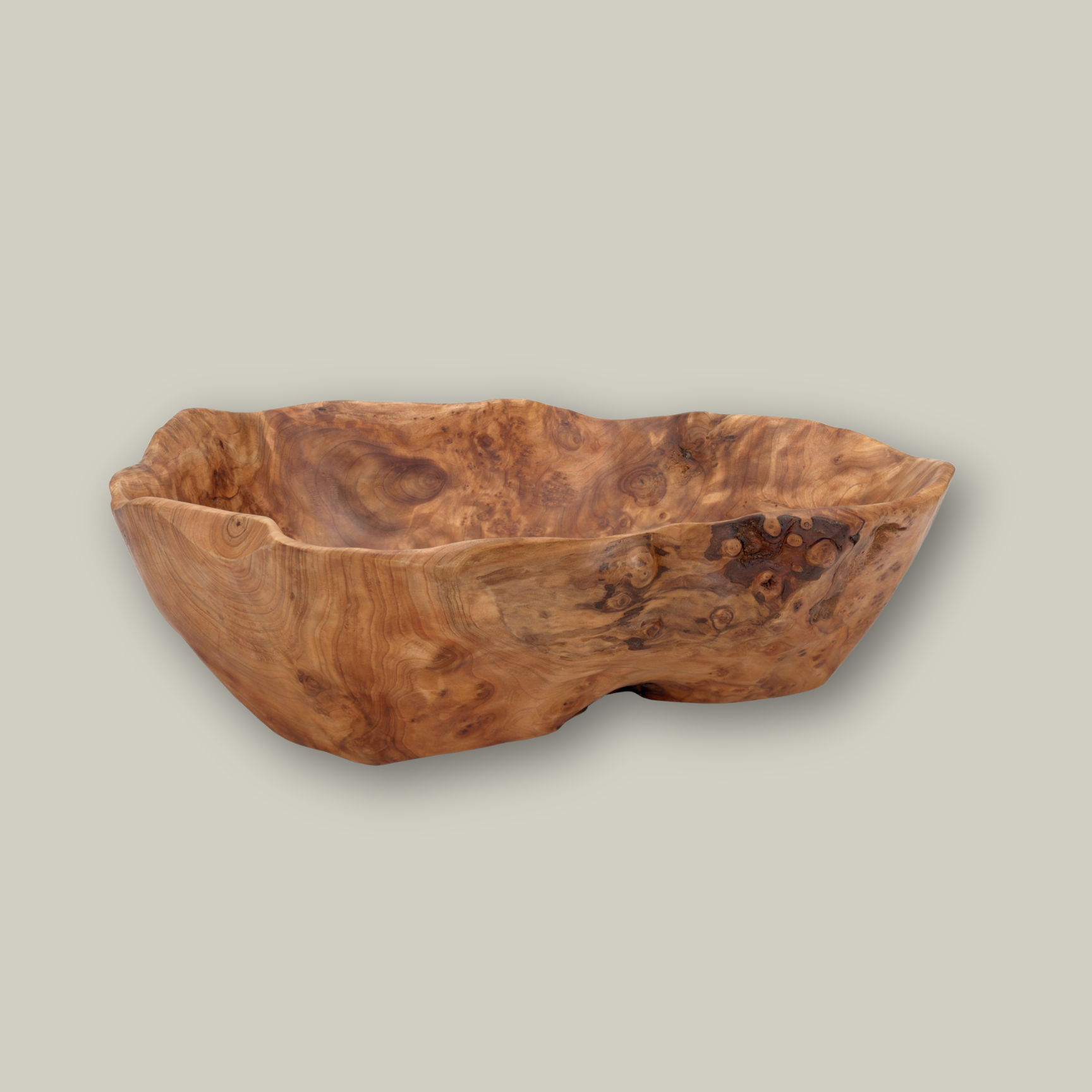 Beautiful hand carved Forest Legacy Bowl made from a fir stump left over from logging industry with a grey background