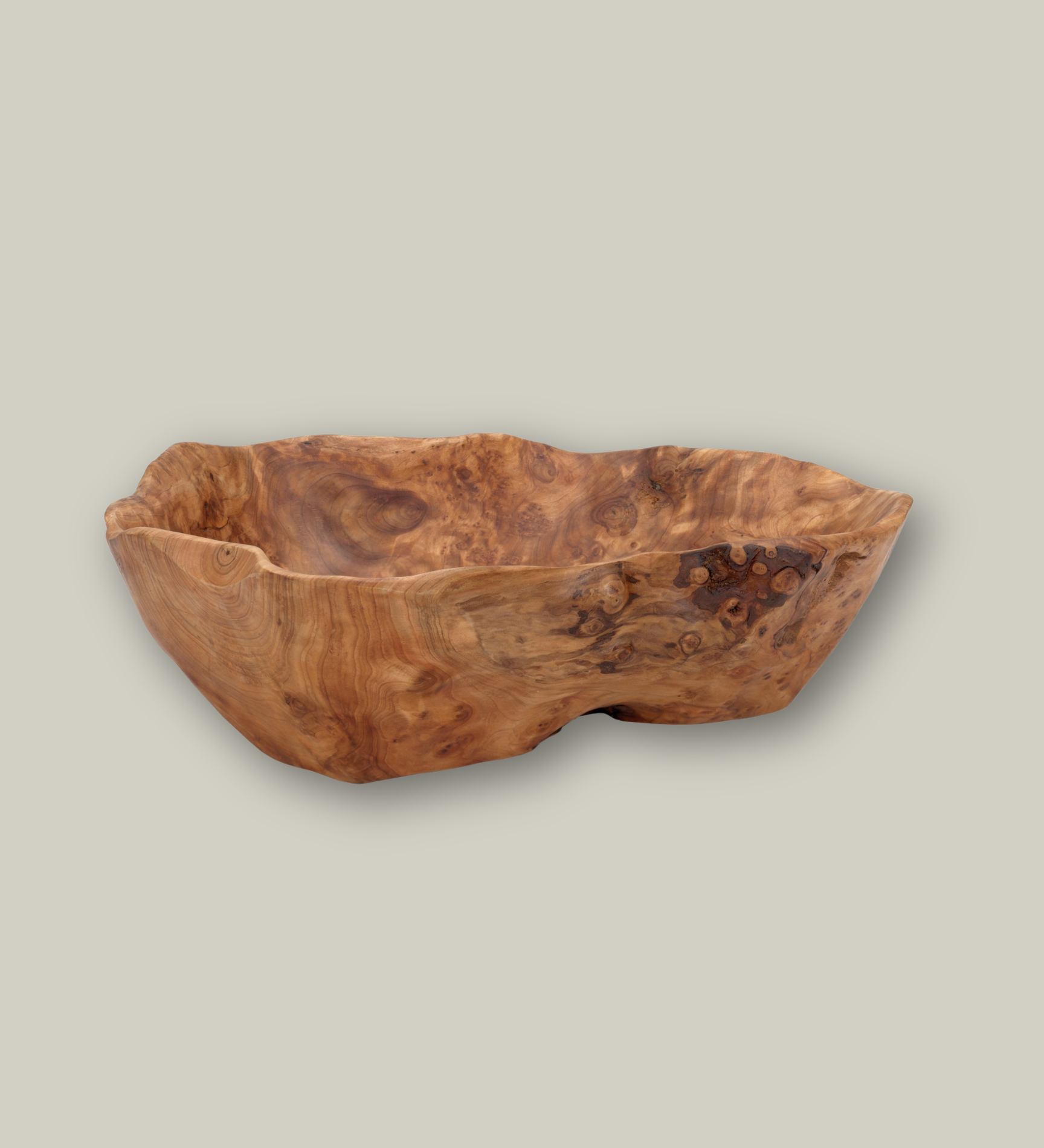 Beautiful hand carved Forest Legacy Bowl made from a fir stump left over from logging industry with a grey background