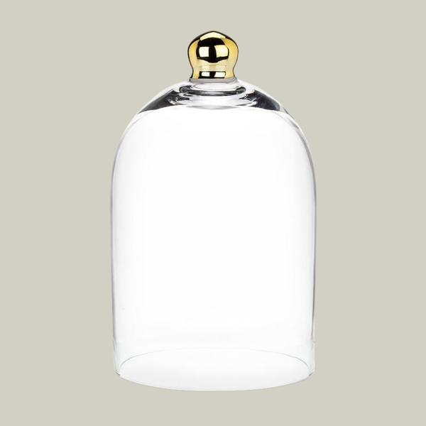 Clear glass cloche with a gold handle on a beige background