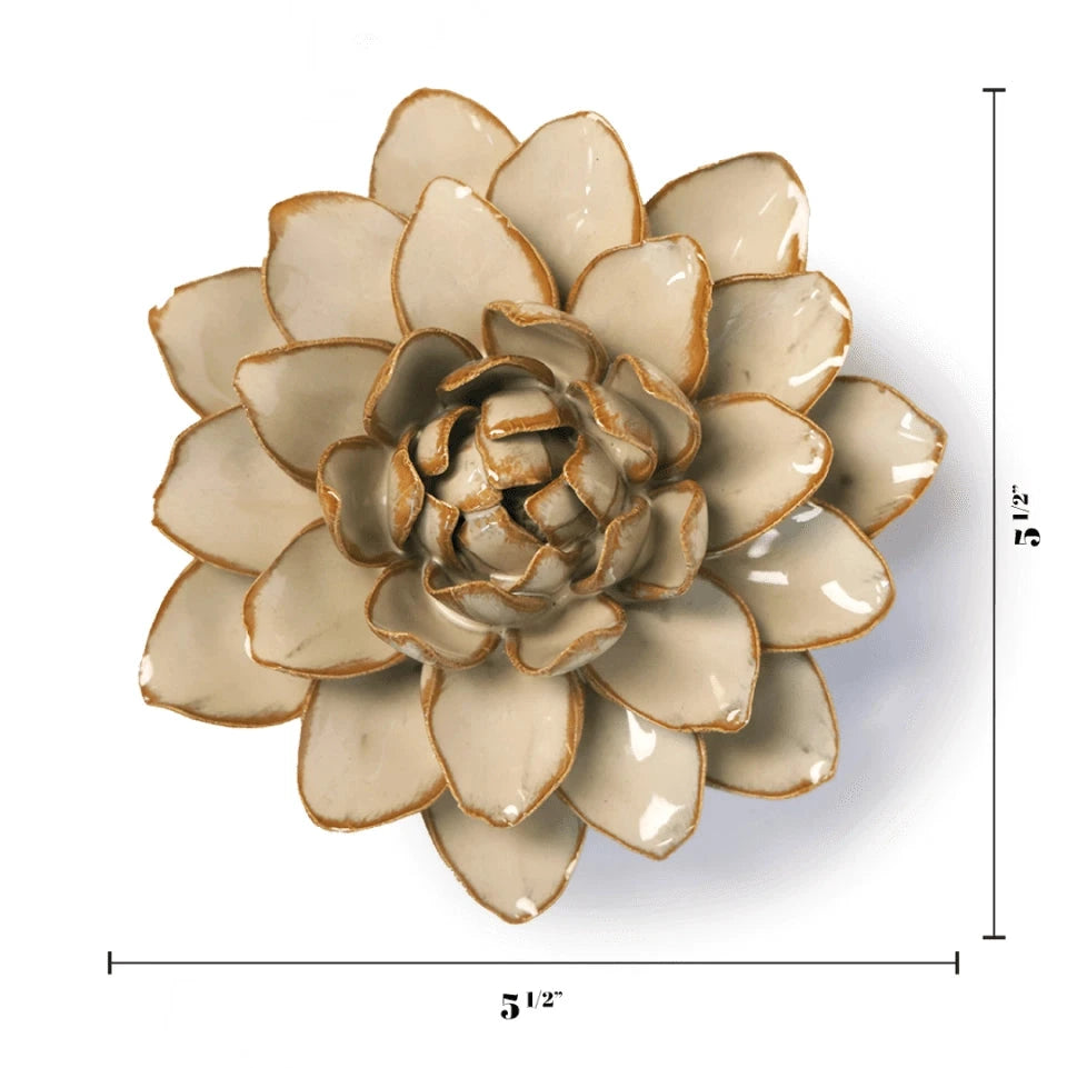 A ceramic Dahlia sculpture shown from above on a white background, with dimension lines and labels indicating a width of 5 1/2 inches and a height of 2 1/2 inches.