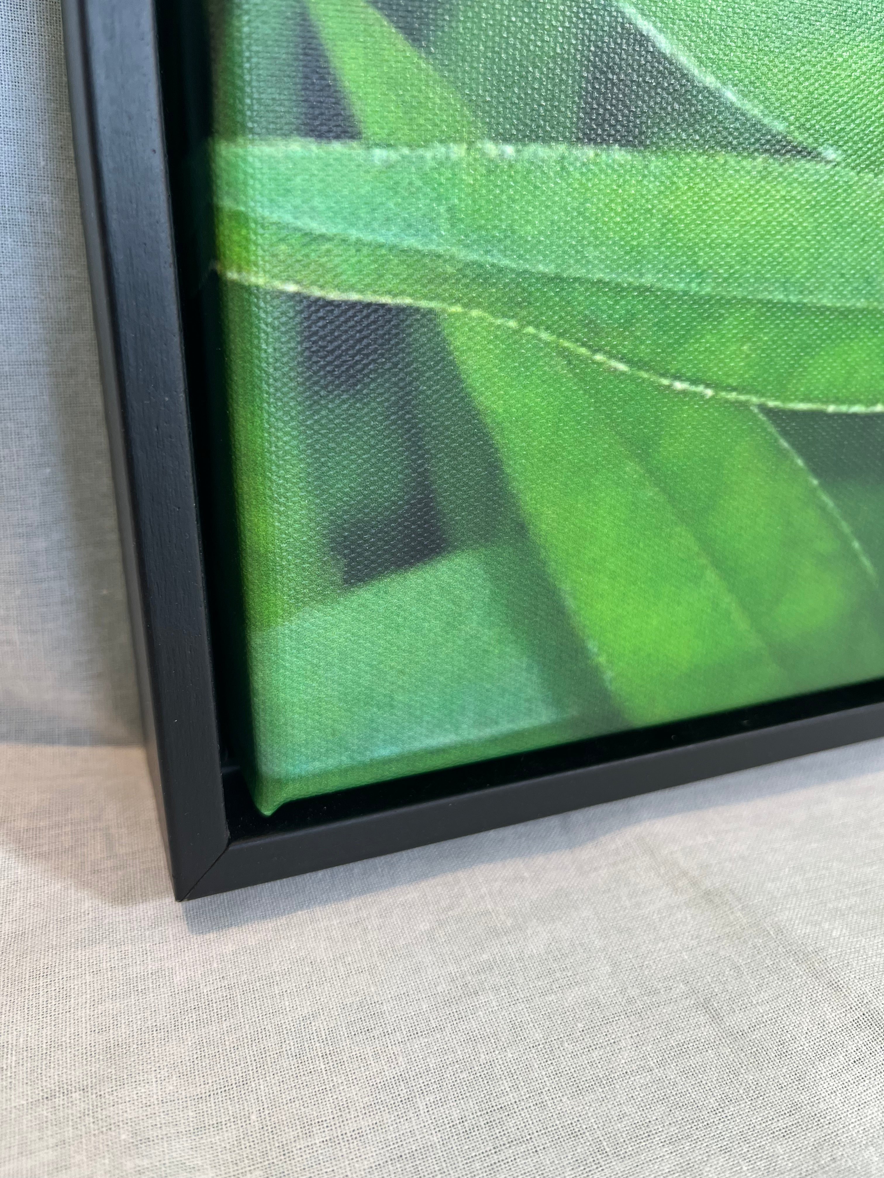 Close-up of the corner of a floating black matte frame showing the green leaf of the photograph.