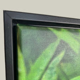Close-up of the corner of a floating black matte frame showing the green leaf of the photograph. 