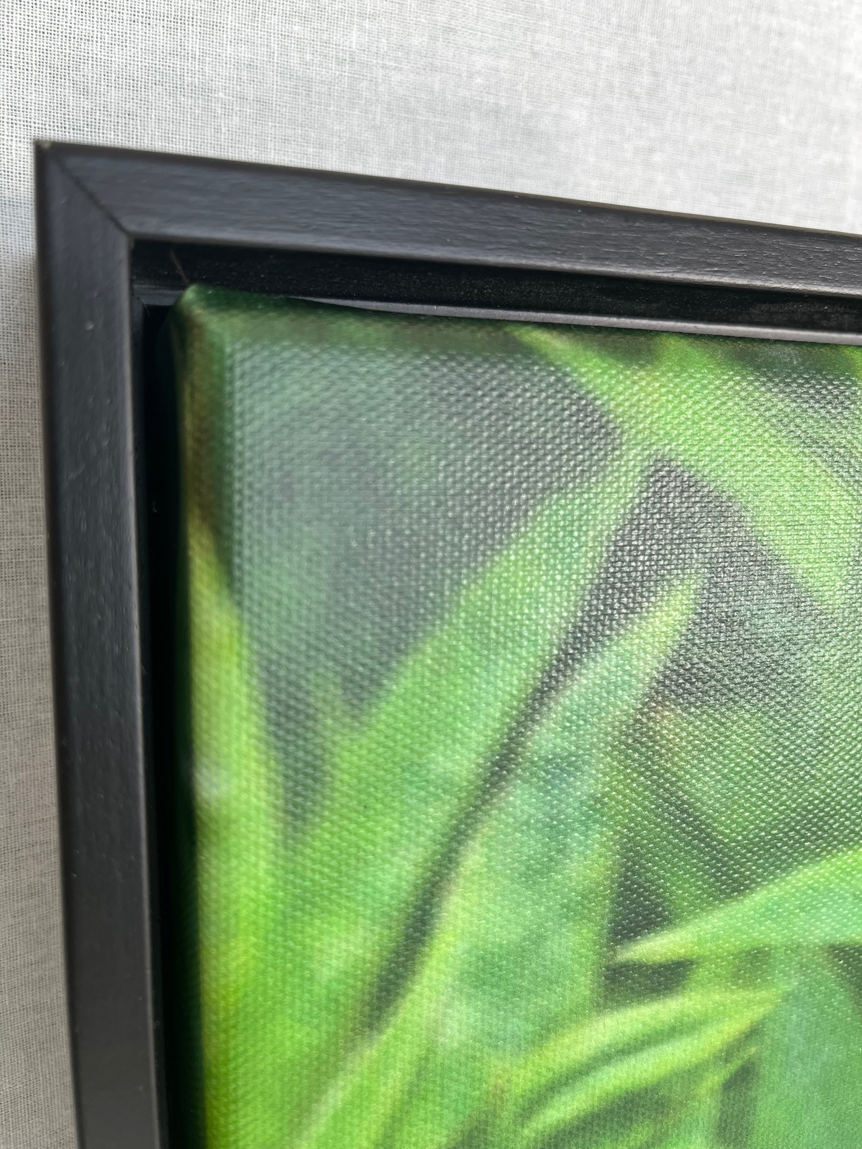 Close-up of the corner of a floating black matte frame showing the green leaf of the photograph. 