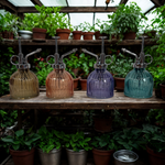 Four glass plant misters on a wooden shelf with plants in the background