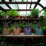 Four glass plant misters on a wooden shelf with plants in the background