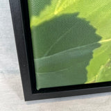 Close-up of the corner of a  black floater frame