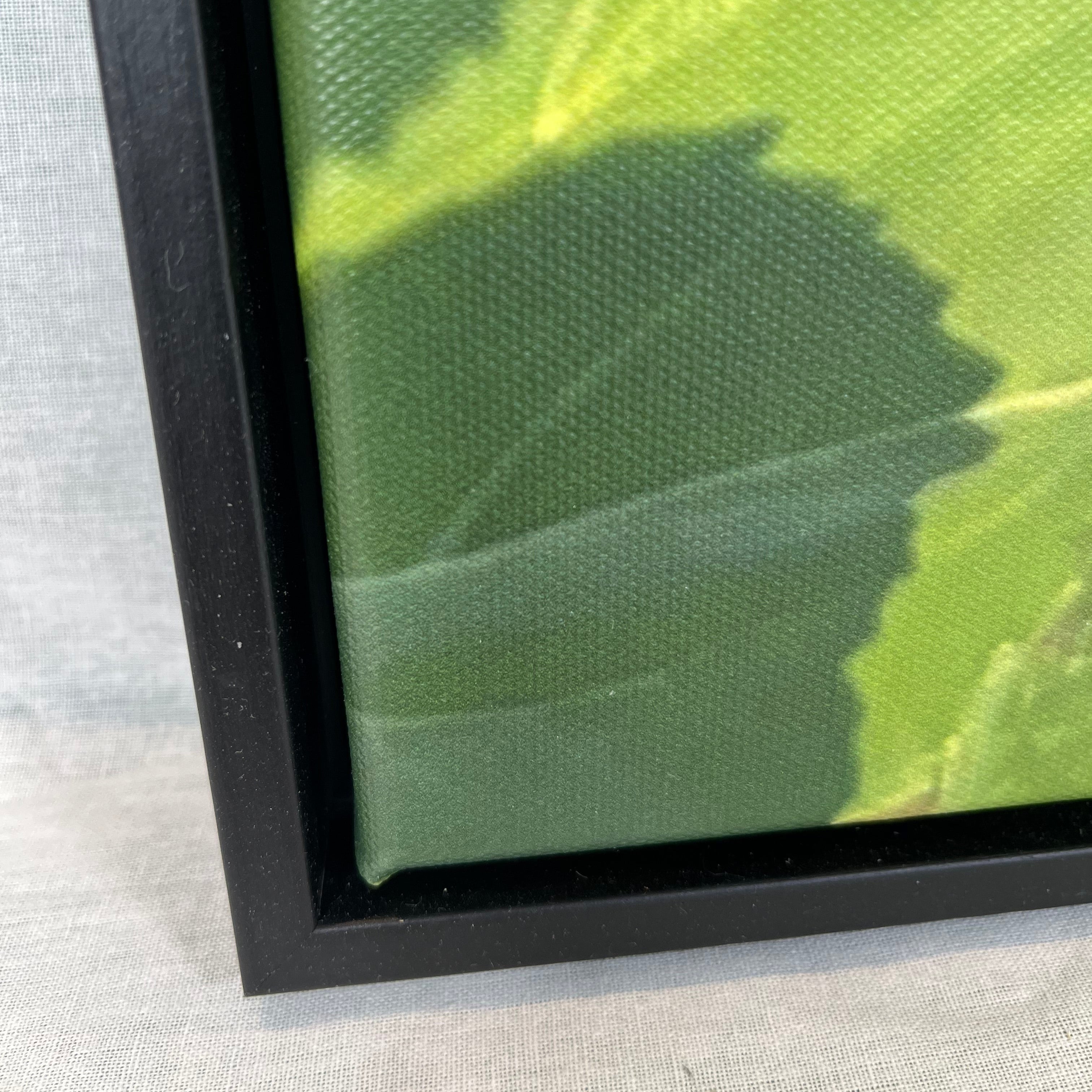 Close-up of the corner of a  black floater frame