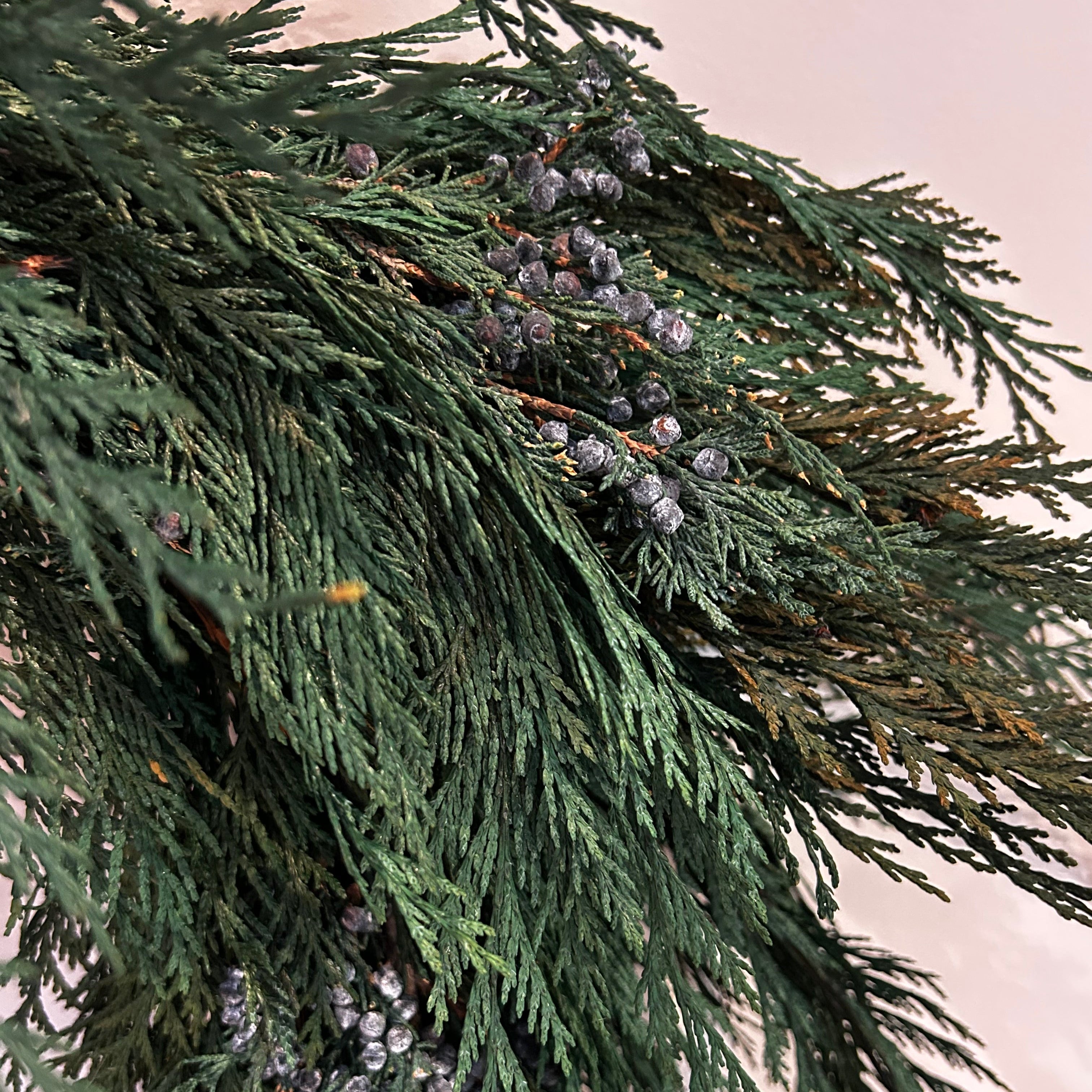 A close up of a wreath layered with lush, preserved Cedar and accented with vibrant Juniper Berries,