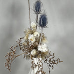 Vase of dried floral arrangement made with delicate, lace-like petals of white Cape Flowers against the intriguing, sculpted heads of blue Teasels. Adding airy lightness and enduring colour is German Statice. 
