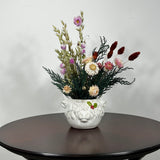 A matt white ceramic planter in the shape of a Highland Cow's head holds a rustic arrangement that features the rich green texture of preserved Cedar, providing a classic holiday base. This is layered with the soft textures of natural Quaker Oats, the gentle colour of natural pink Helichrysums, and the vivid contrast of burgundy dyed Phalaris. Floating delicately above the bulk of the arrangement are ethereal paper daisies in natural pink, adding a final touch of whimsy.