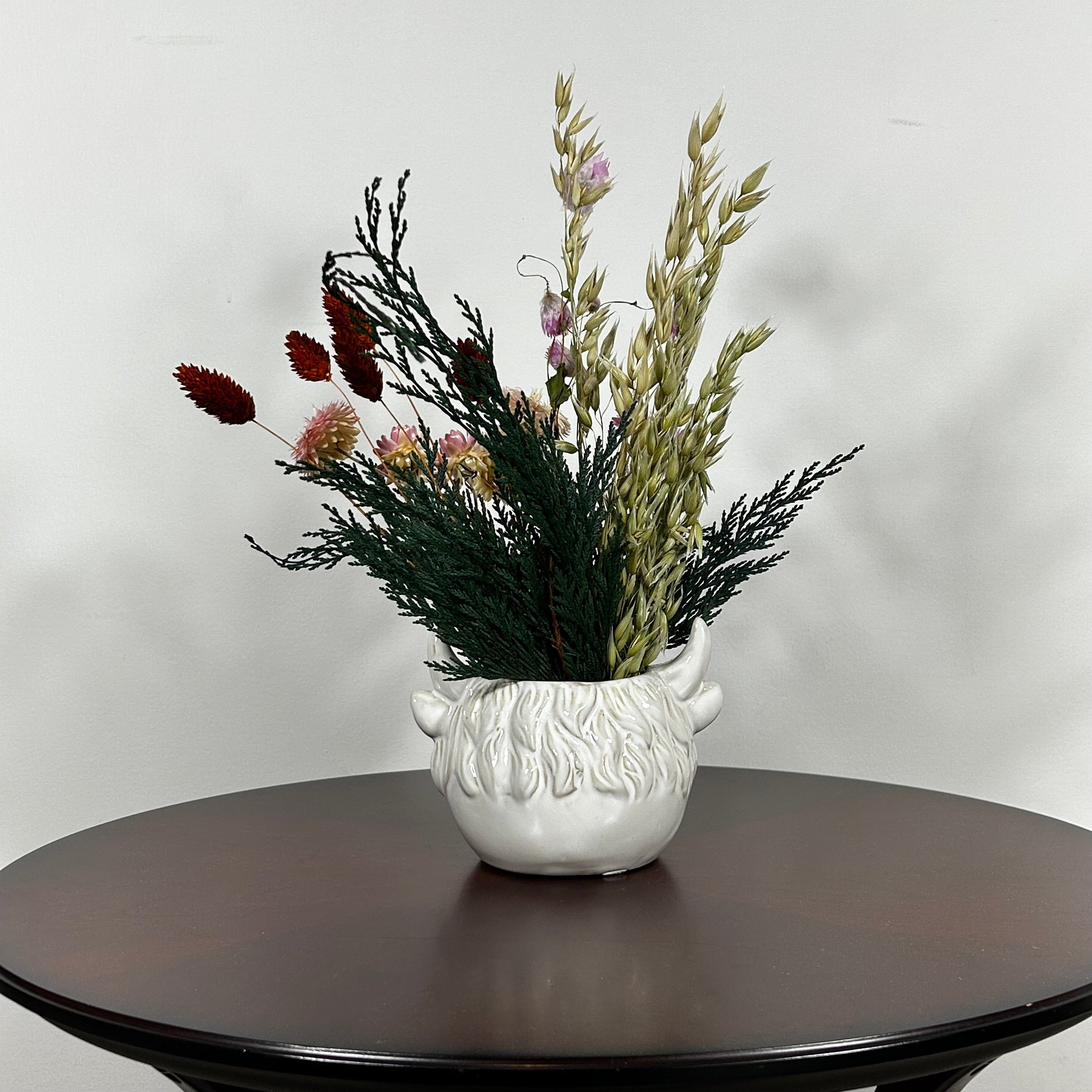 A matt white ceramic planter in the shape of a Highland Cow's head holds a rustic arrangement that features the rich green texture of preserved Cedar, providing a classic holiday base. This is layered with the soft textures of natural Quaker Oats, the gentle colour of natural pink Helichrysums, and the vivid contrast of burgundy dyed Phalaris. Floating delicately above the bulk of the arrangement are ethereal paper daisies in natural pink, adding a final touch of whimsy.