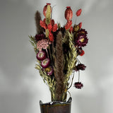 A hand-tied bouquet features the majestic, airy softness of natural Pampas Grass, contrasted with the deep, plush tones of deep burgundy Helichrysums.
The palette is enhanced by soft natural pink Helichrysums and vibrant dyed pink Achillea Parker, while coral-dyed Phalaris adds vertical movement. The rustic charm of burgundy Nigella seed pods, textured Poppy seed pods, and Quaker Oats provides intricate detail.