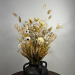 Image de diapositive