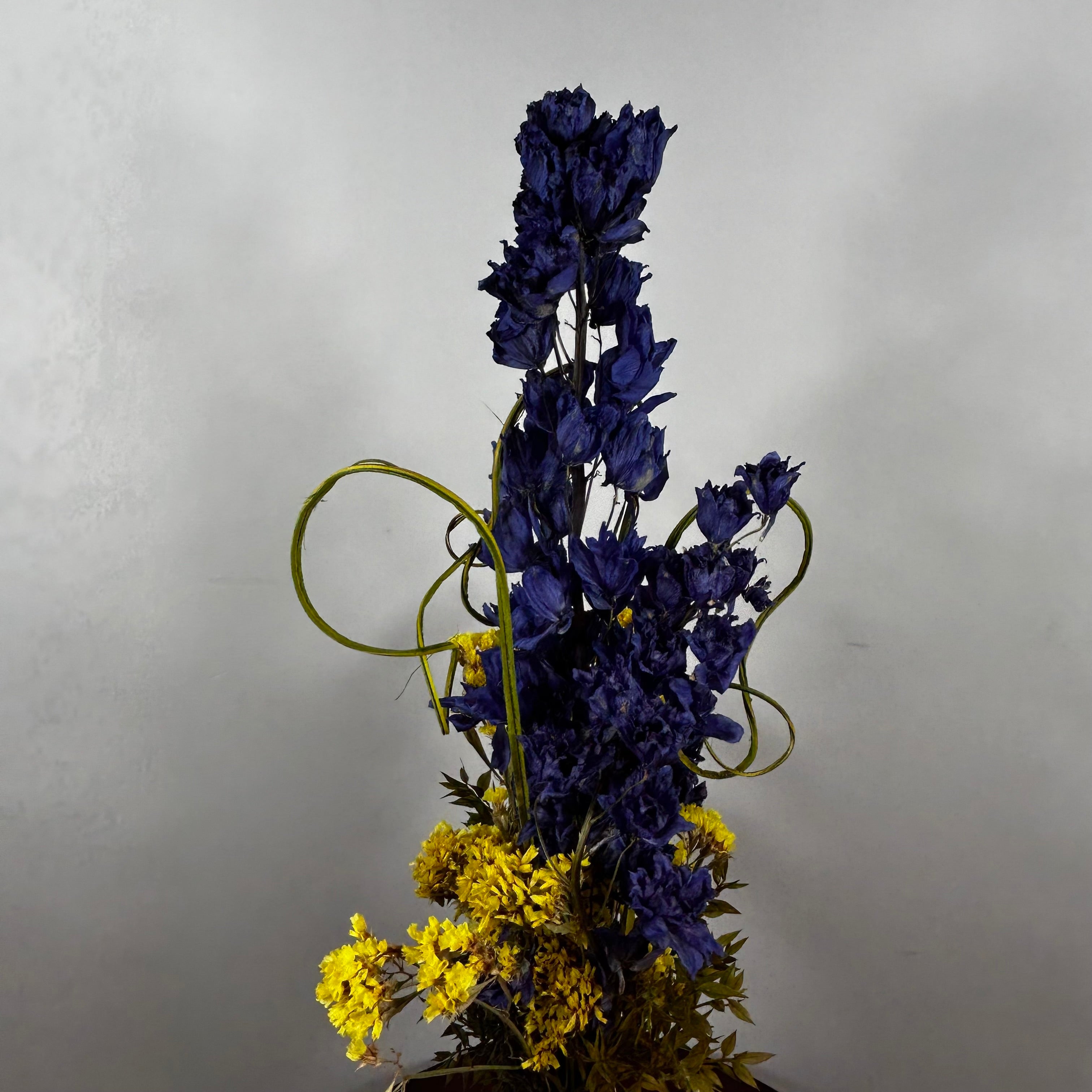 A dried floral arrangement featuring tall dark blue delphiniums and clusters of small yellow flowers, accented with curly green stems, set against a plain light gray background.
