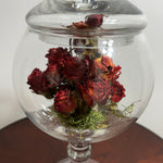 A clear glass jar with a lid, filled with dried red roses and green moss, set on a dark wooden surface against a plain light background.