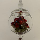 A clear glass terrarium-style jar with a rounded body, lid, and pedestal base, containing dried red roses and green moss against a plain light wall.