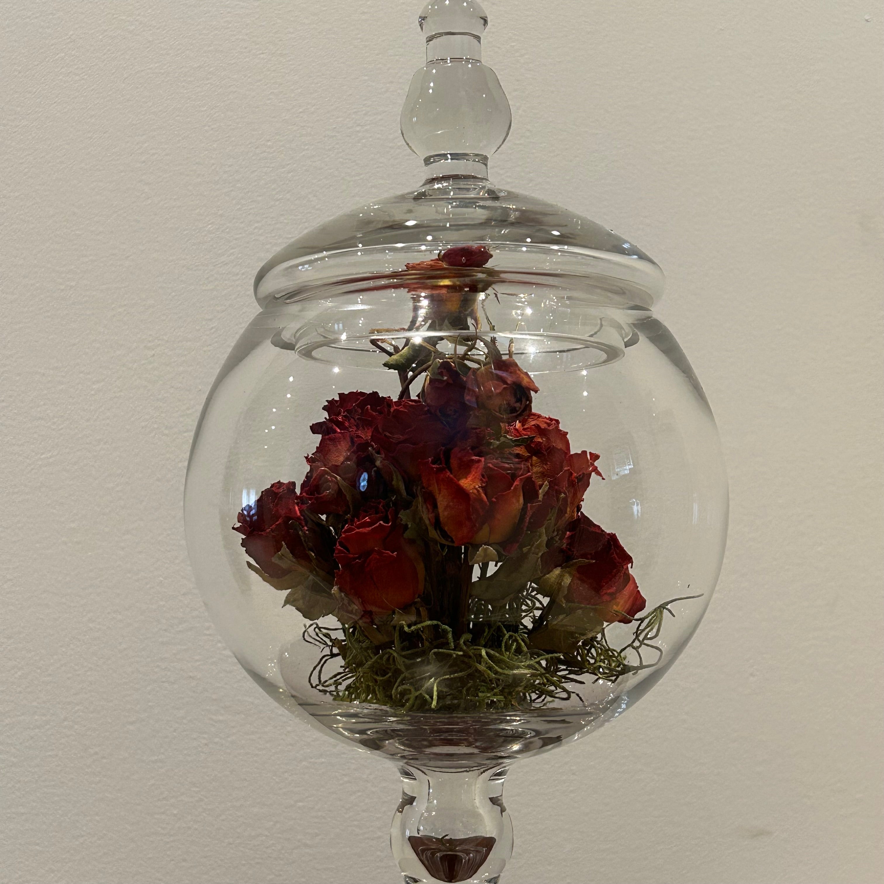A clear glass terrarium-style jar with a rounded body, lid, and pedestal base, containing dried red roses and green moss against a plain light wall.
