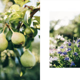 Two images: one of green pears on a tree and another of blue and purple flowers.