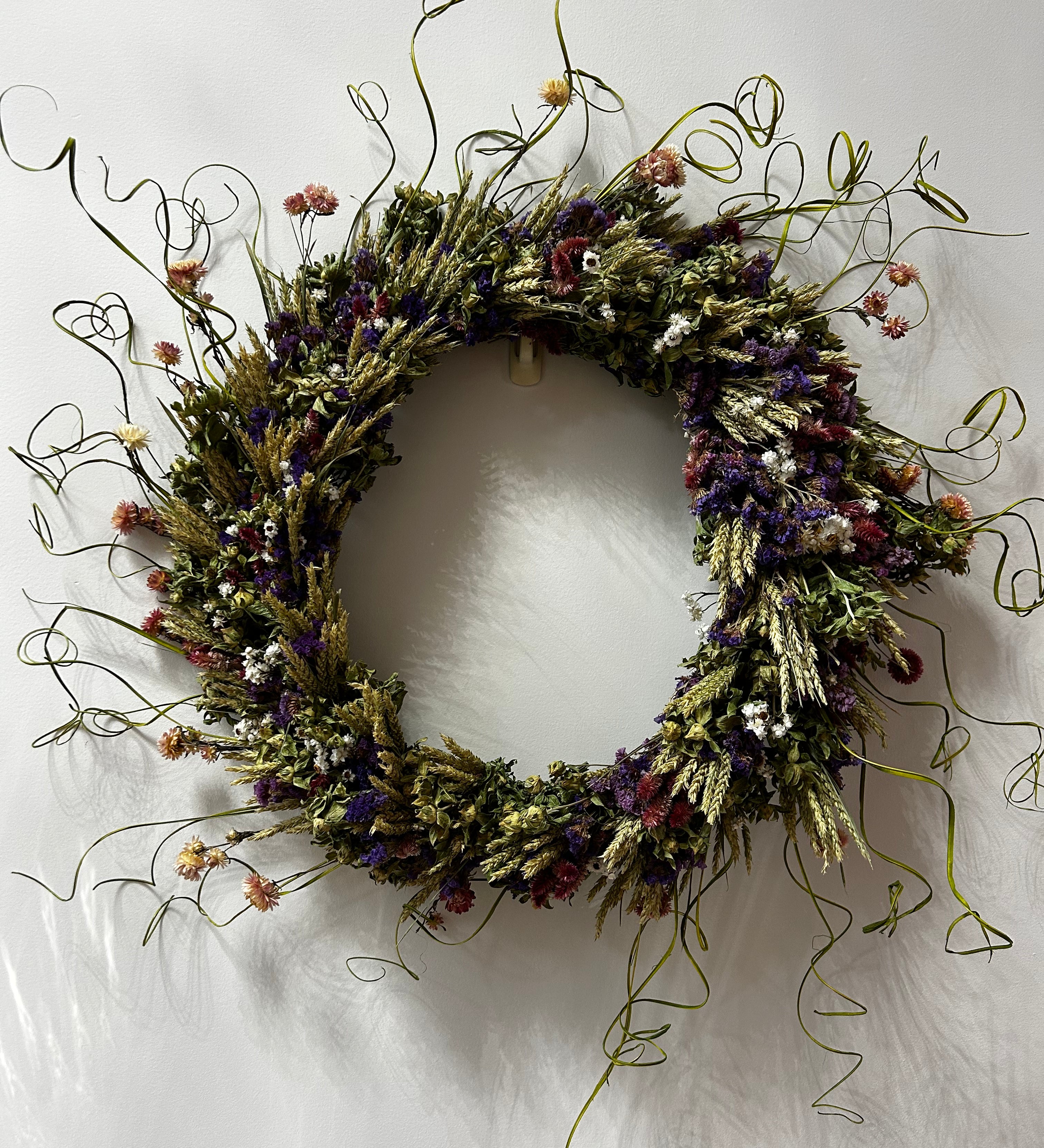 Decorative 30 inch dried floral wreath with vibrant statice and helichrysum and the whimsical texture of various grains, and curly ting ting on a white background
