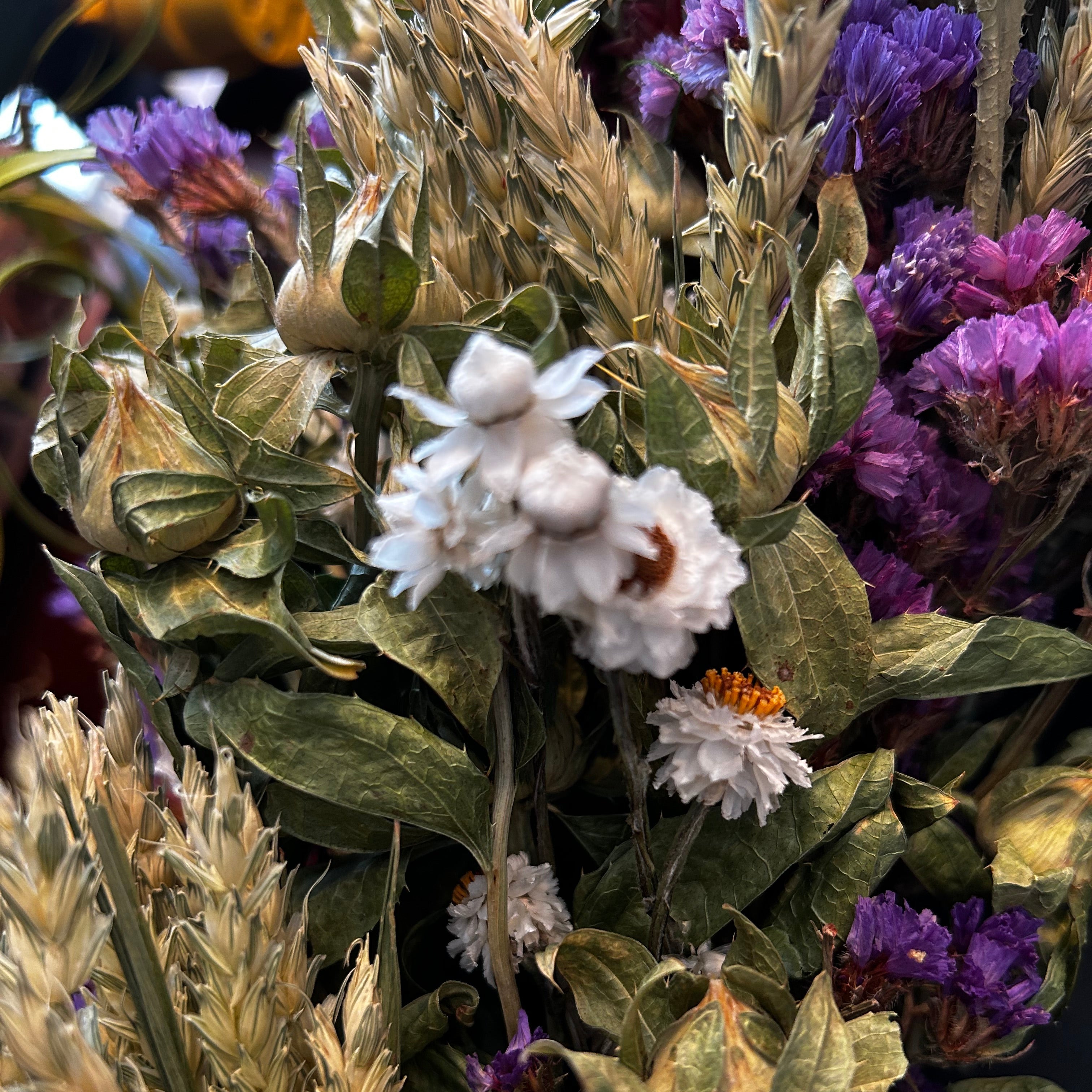 Close-up of decorative 30 inch dried floral wreath with vibrant statice and helichrysum and the whimsical texture of various grains, and curly ting ting on a dark background