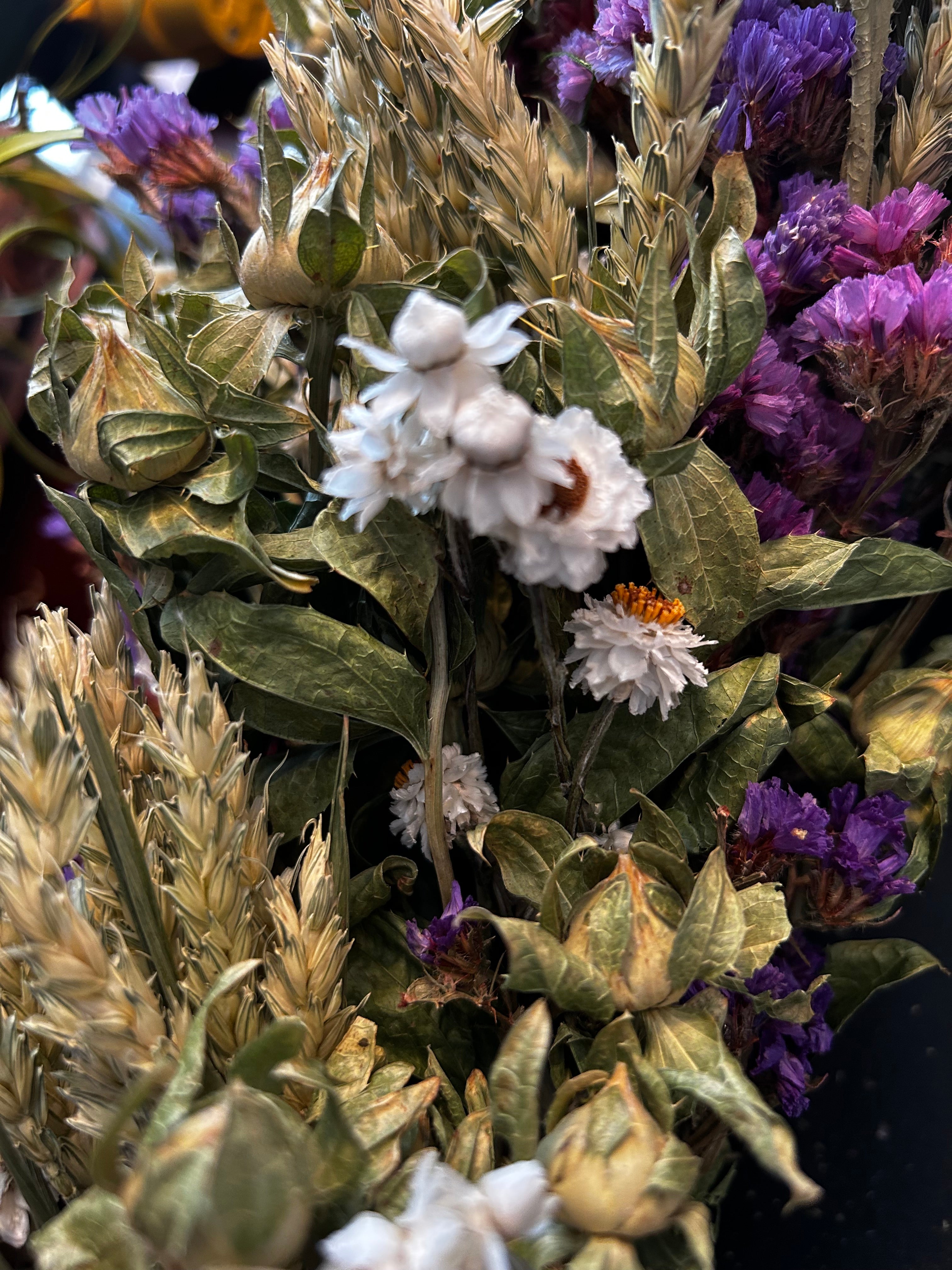 Close-up of decorative 30 inch dried floral wreath with vibrant statice and helichrysum and the whimsical texture of various grains, and curly ting ting on a dark background