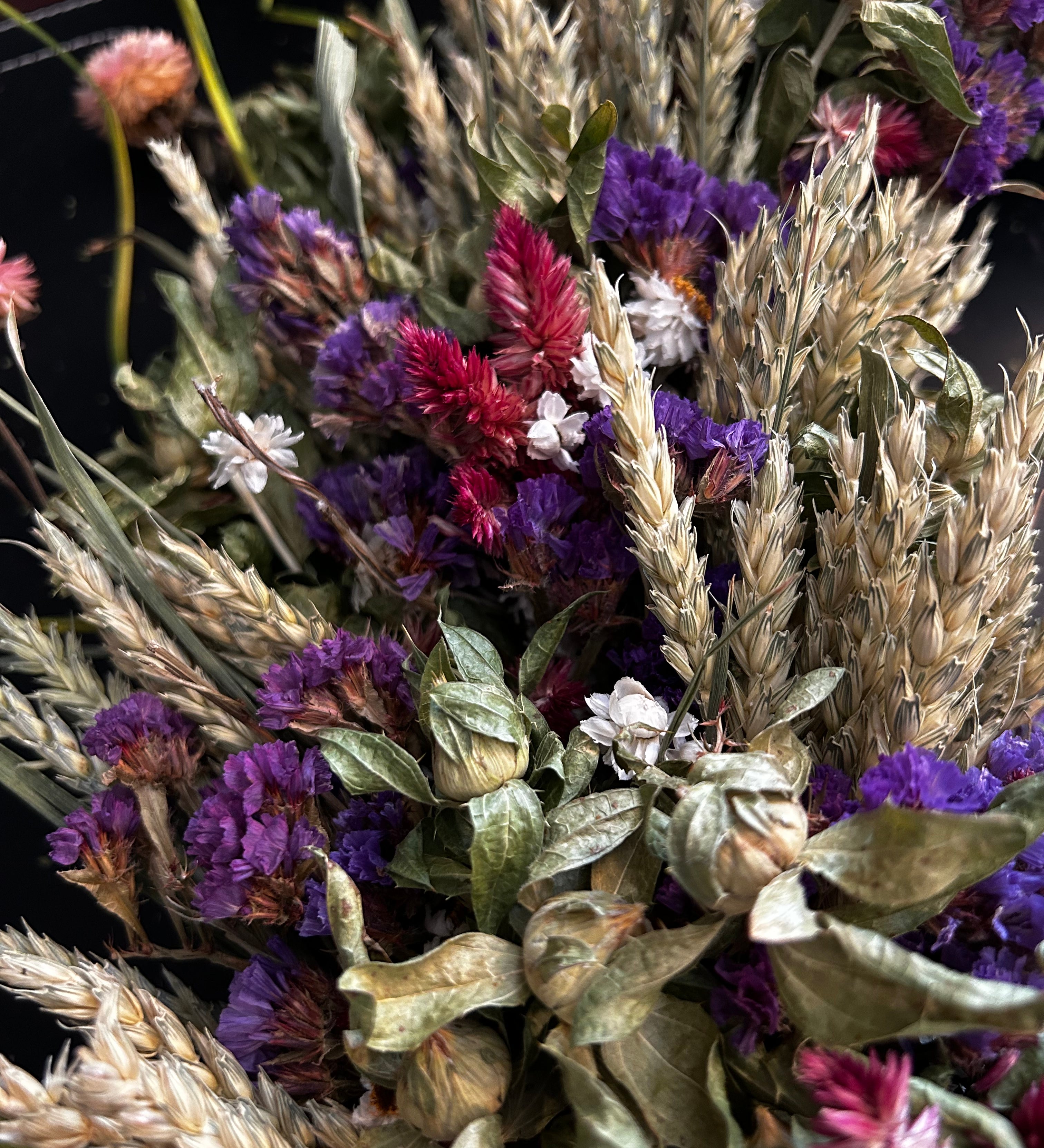 Close-up of decorative 30 inch dried floral wreath with vibrant statice and helichrysum and the whimsical texture of various grains, and curly ting ting on a dark background
