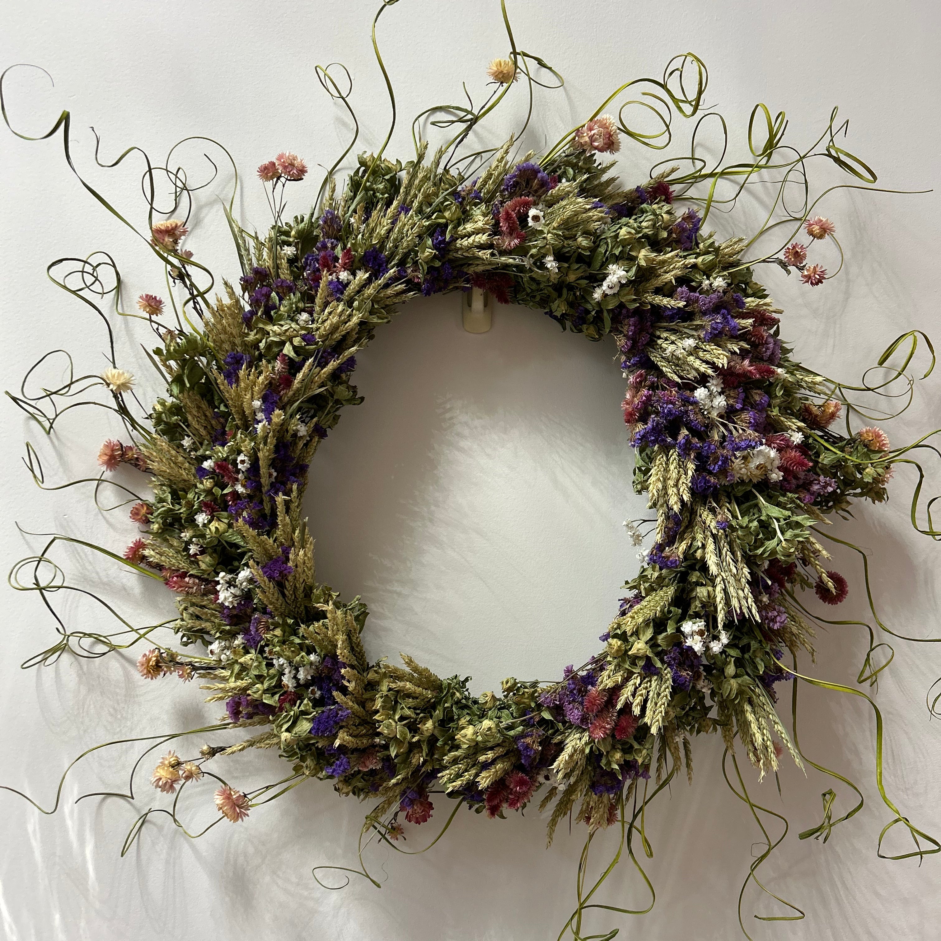 Decorative 30 inch dried floral wreath with vibrant statice and helichrysum and the whimsical texture of various grains, and curly ting ting on a white background.