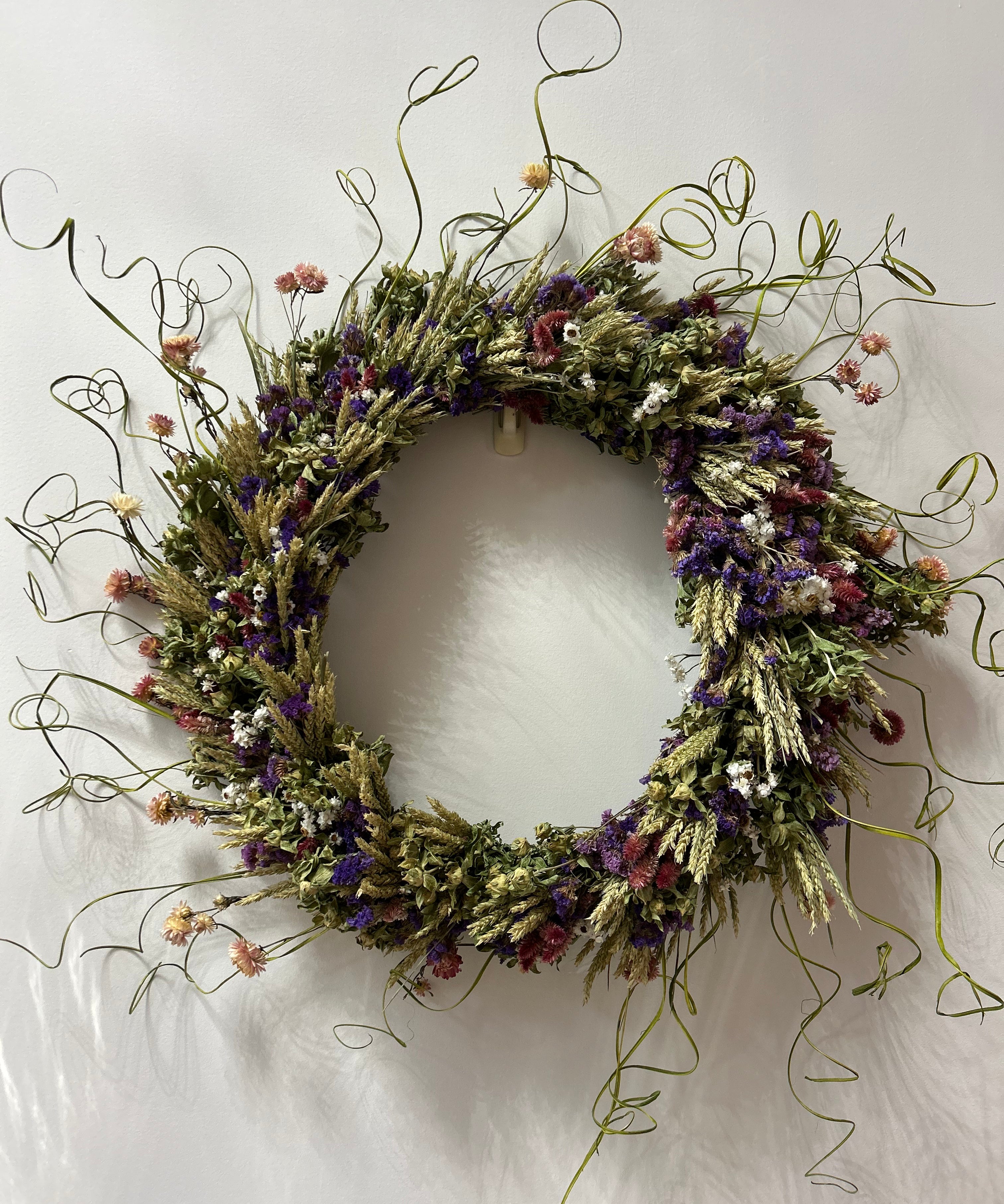 Decorative 30 inch dried floral wreath with vibrant statice and helichrysum and the whimsical texture of various grains, and curly ting ting on a white background.